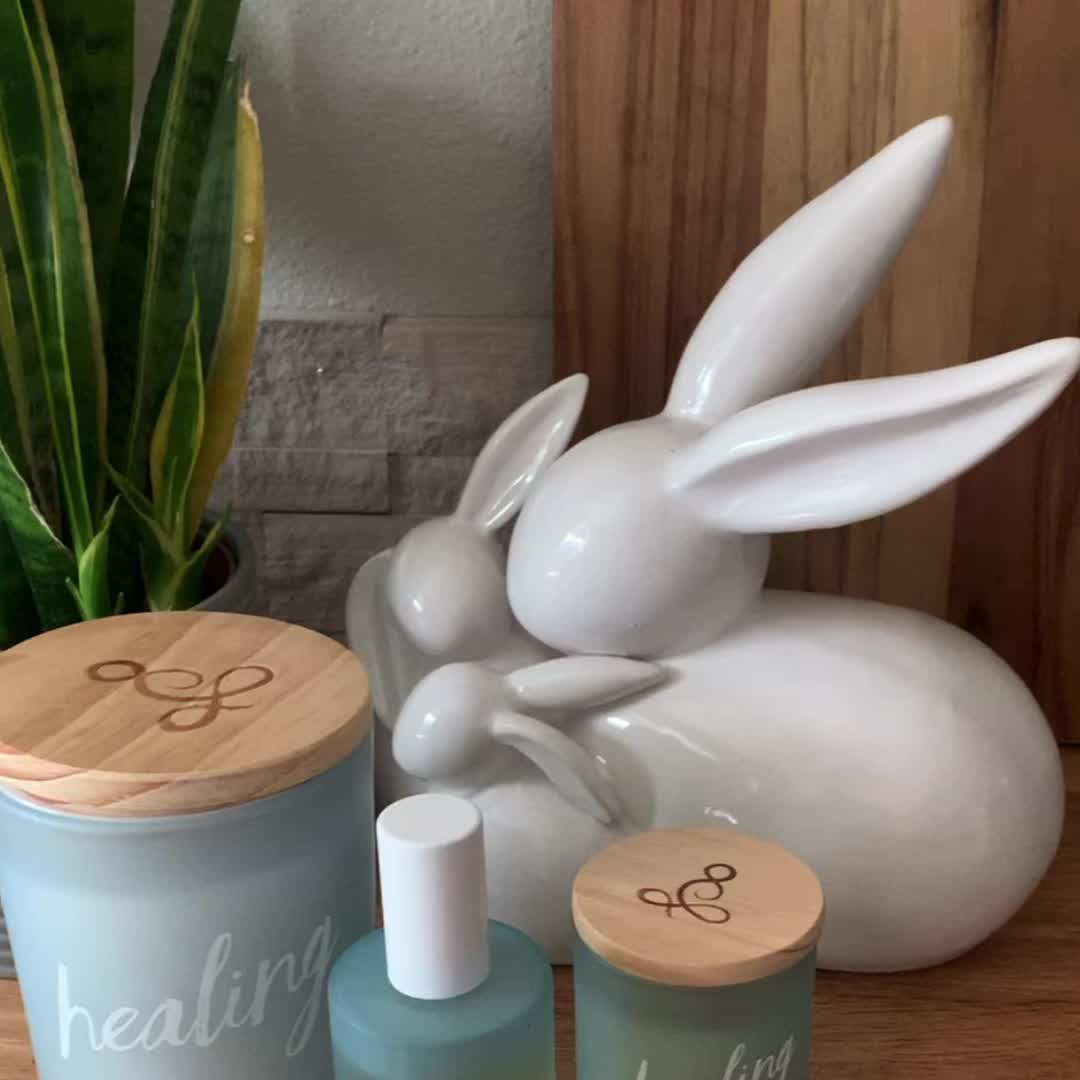 Healing | Sea Salt & Lily | Room Spray – DW Home Candles