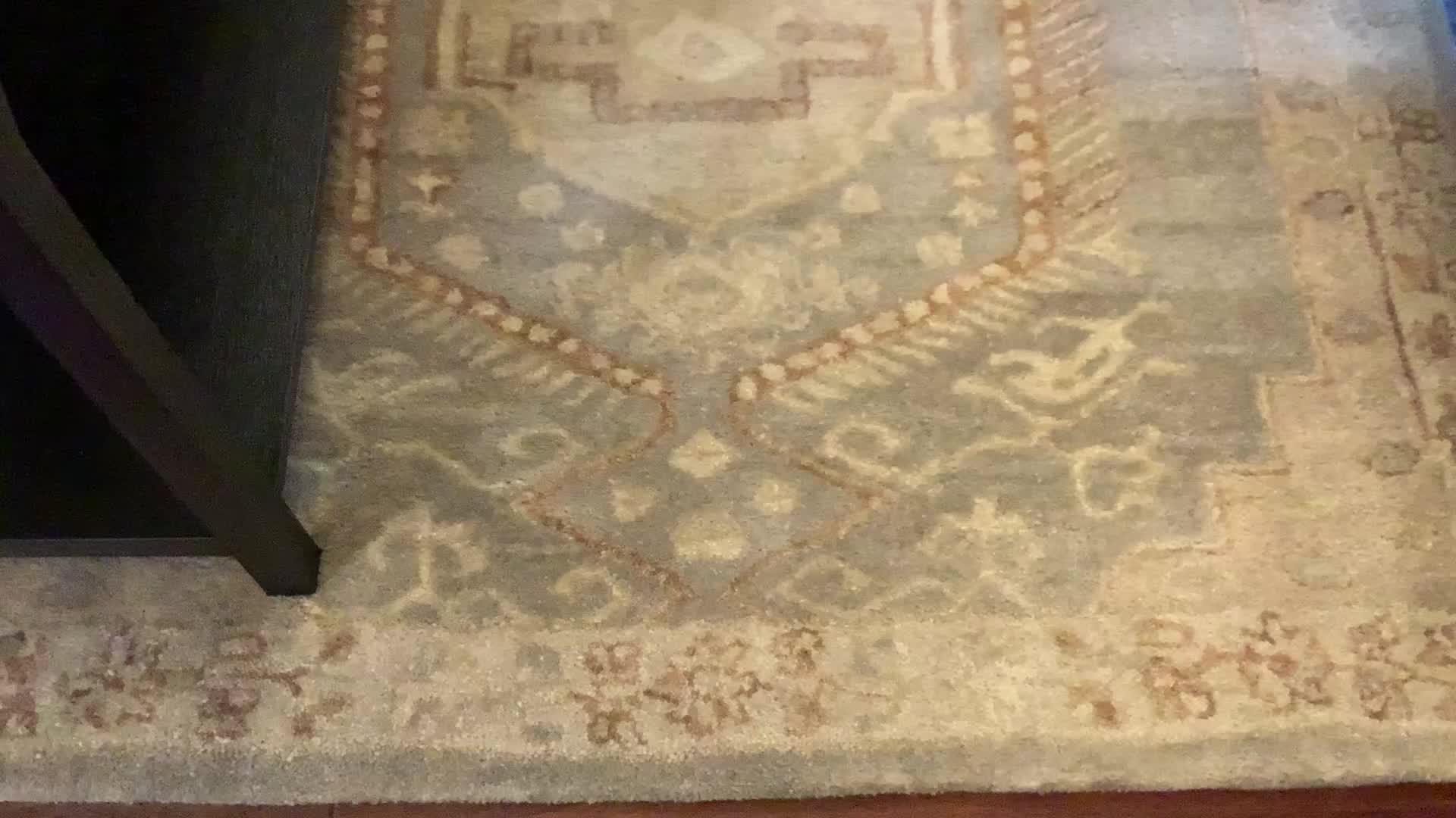 Frame Elegance Wool Rug 120×160 cm Rugs USA Padma Lakshmi Istanbul Hand-Tufted Ornate Border