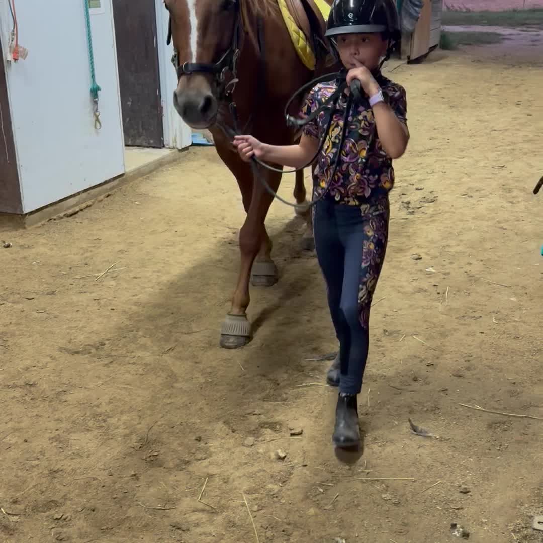 Chemise D'équitation Kerrits Ice Fil Manches Longues – XS – Demi-fermeture éclair