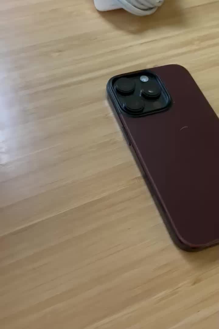 Magnetic Leather Back- iPhone 16 Pro Max | Black | Horween
