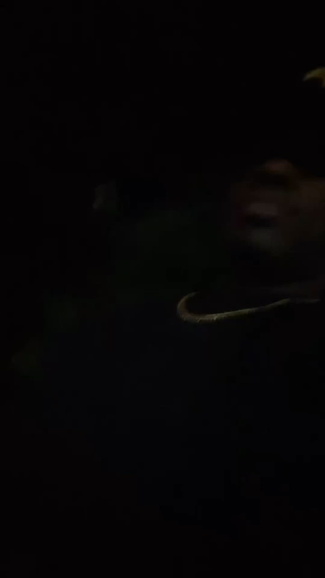 Cuban Link Chain 5mm