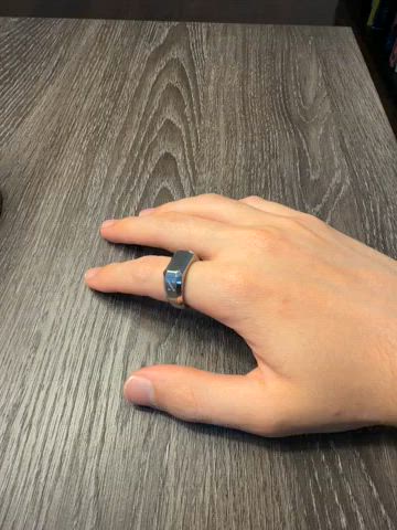 Signet Ring Silver