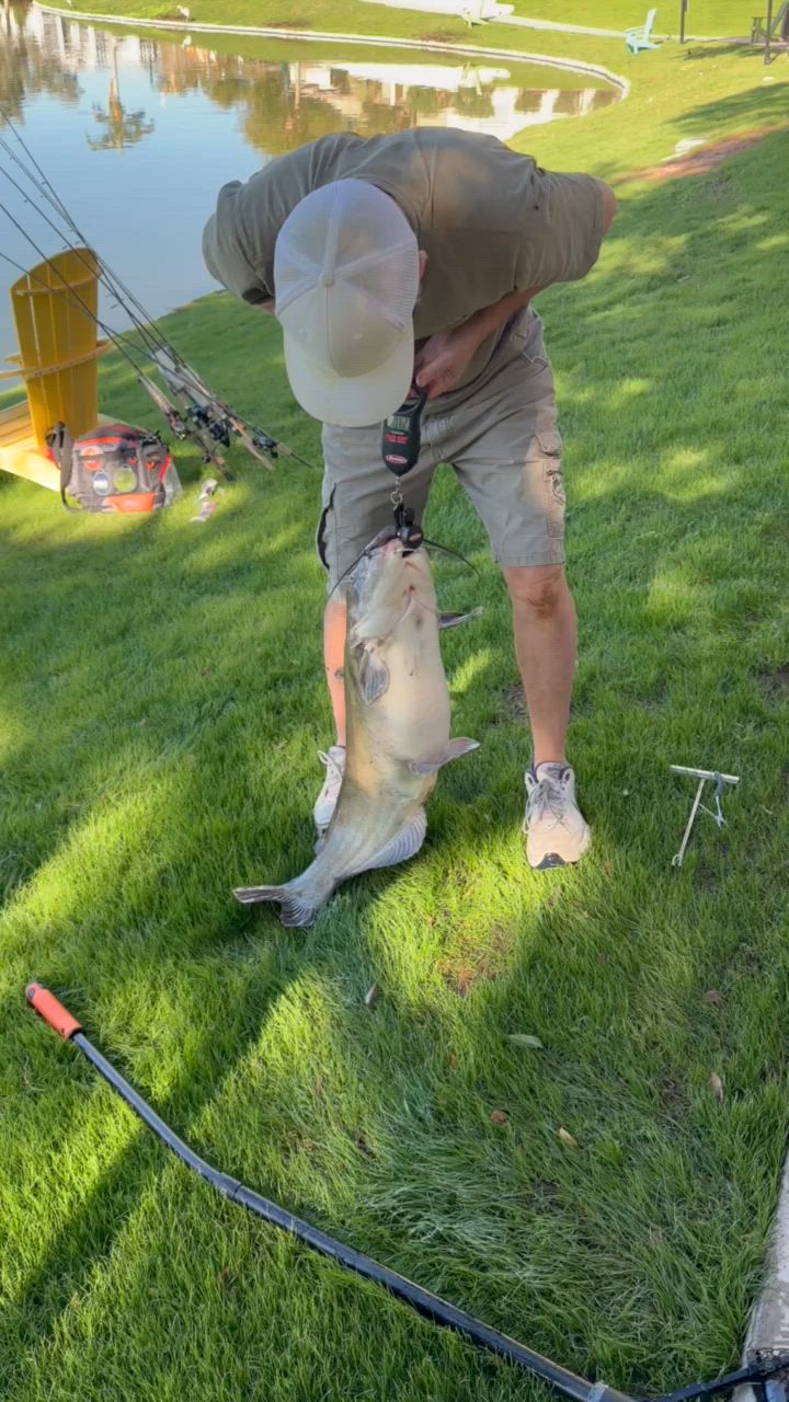 Balance De Pêche Berkley - 50 Lb / 23 Kg - Excellente état - Fonctionne Bien