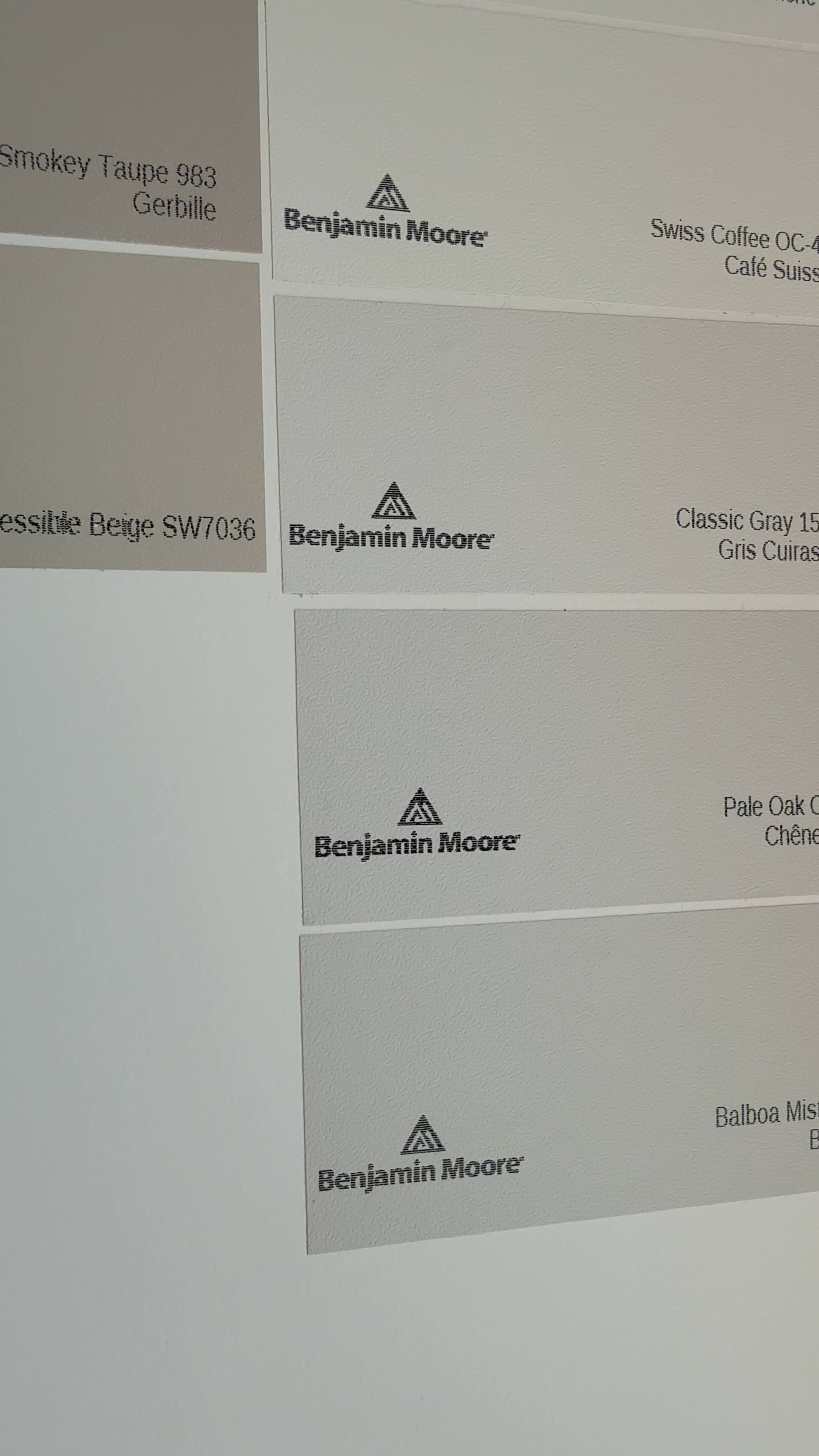 White Dove Benjamin Moore Paint Sample (OC-17) | Samplize