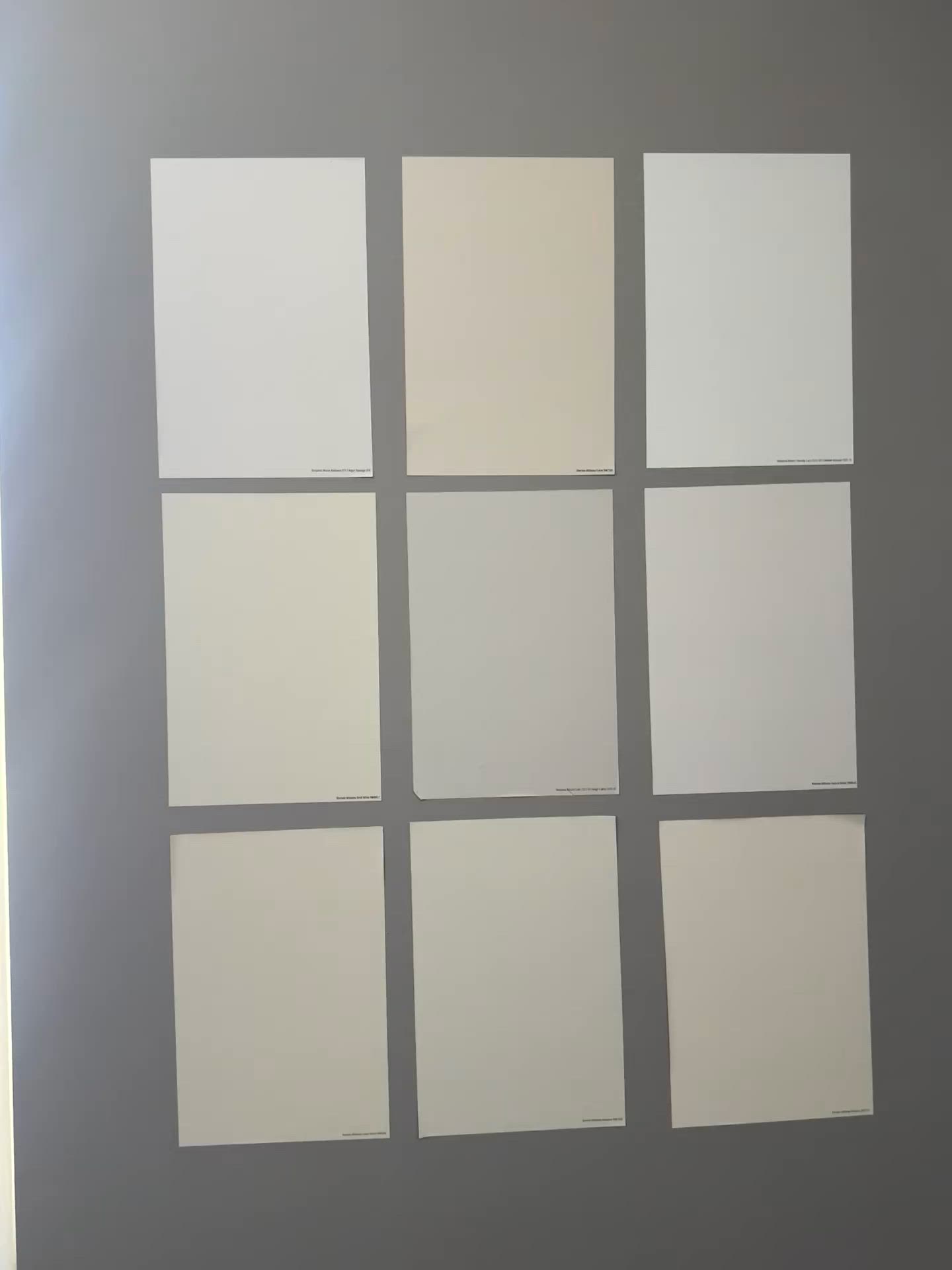 Balboa Mist Benjamin Moore Paint Sample (1549) | Samplize