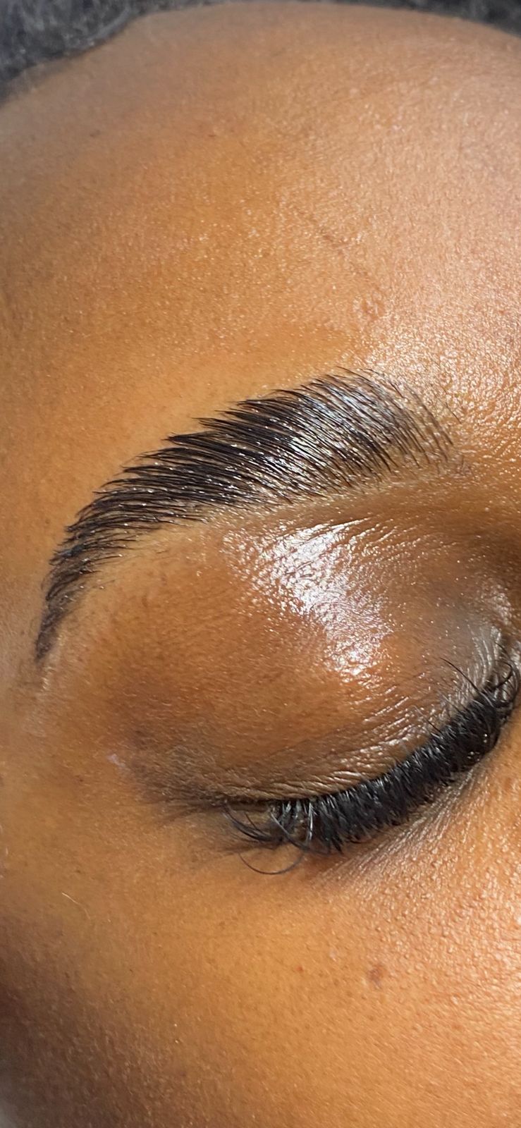 Professional Brow Tint Kit Brow Code Pro USA