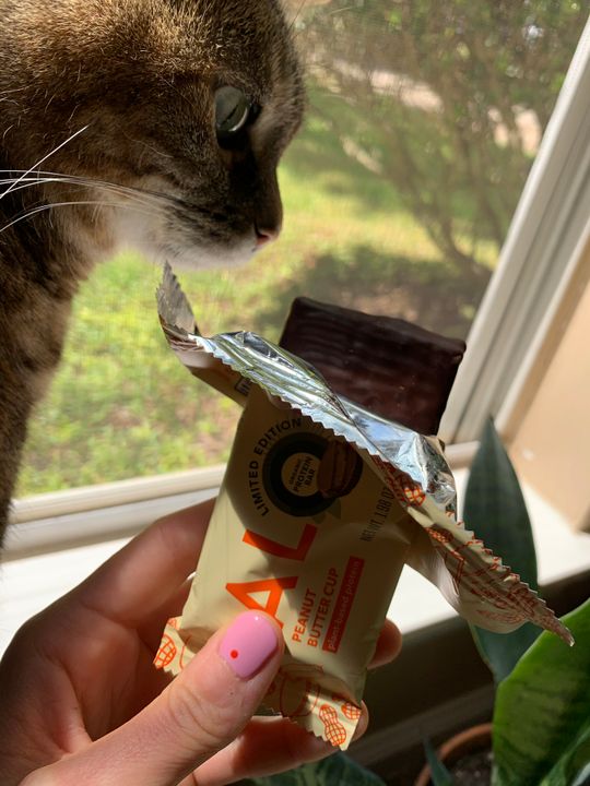 Peanut Butter Cup Protein Bar Aloha