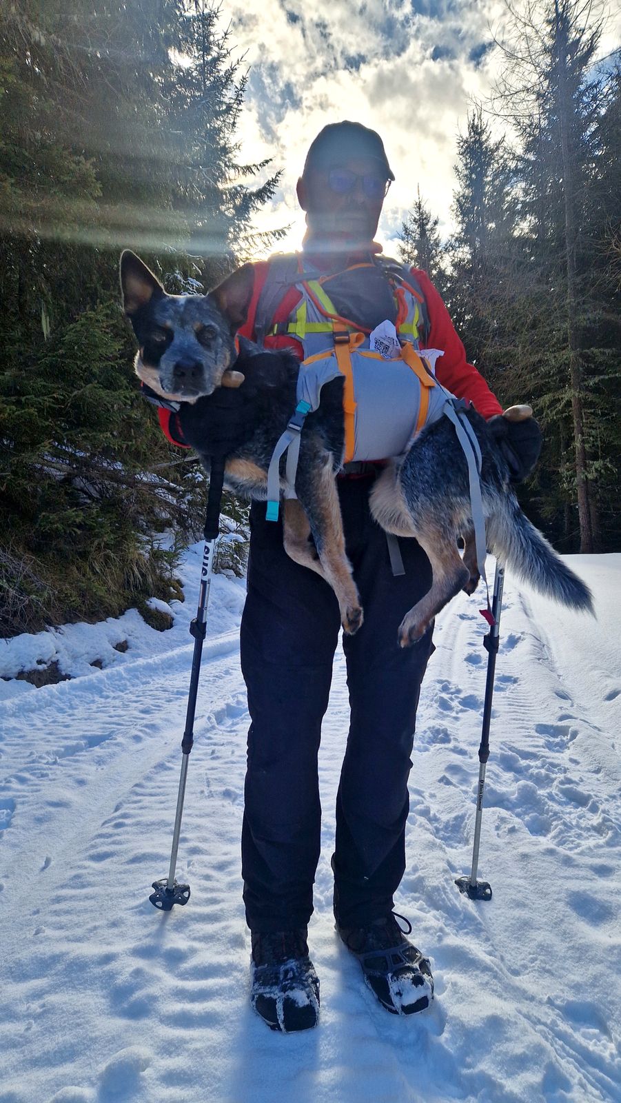 Ski Mountaineering Ski Straps For Hiking Backcountry Skiing
