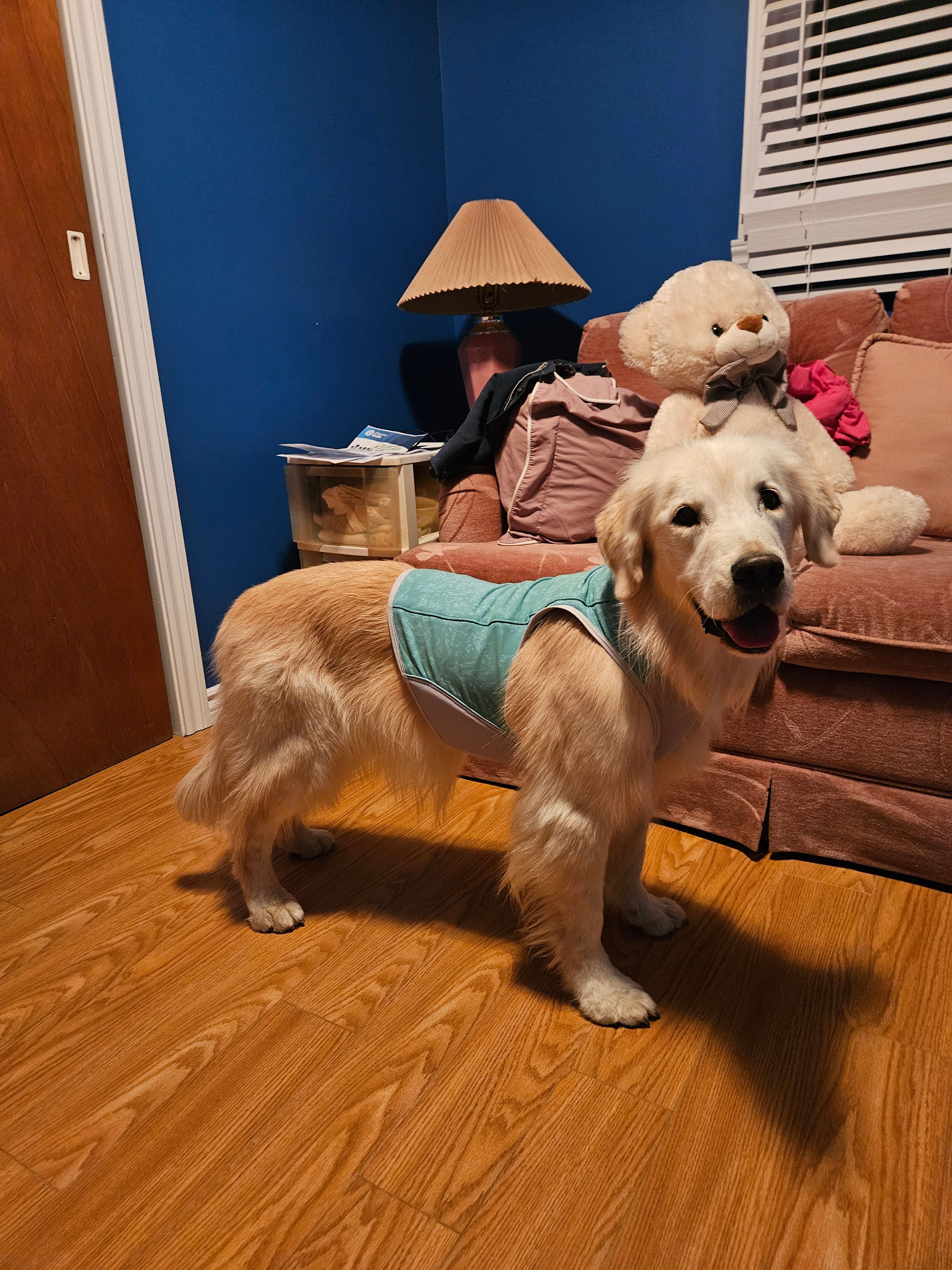 スワンプクーラージップベスト | Ruffwear JAPAN