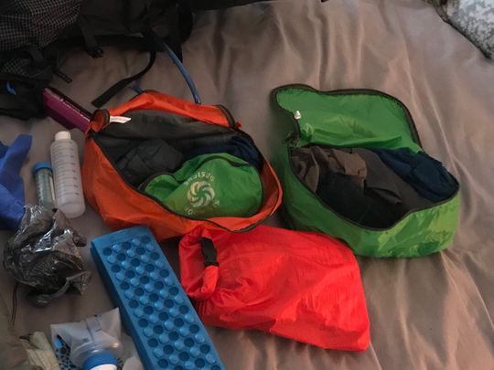 新品Packing Pods Lサイズ3つセット3色