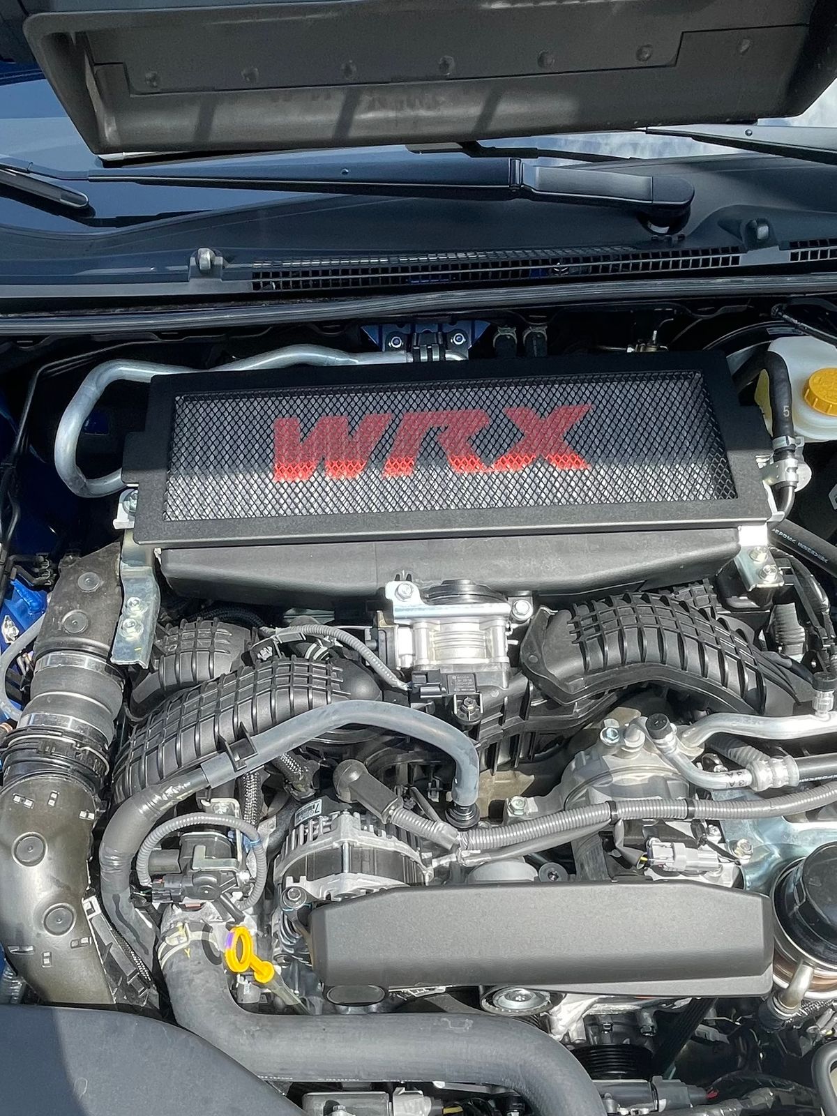 Noble STI Top Mount Intercooler Grille Protector / Guard 20082021