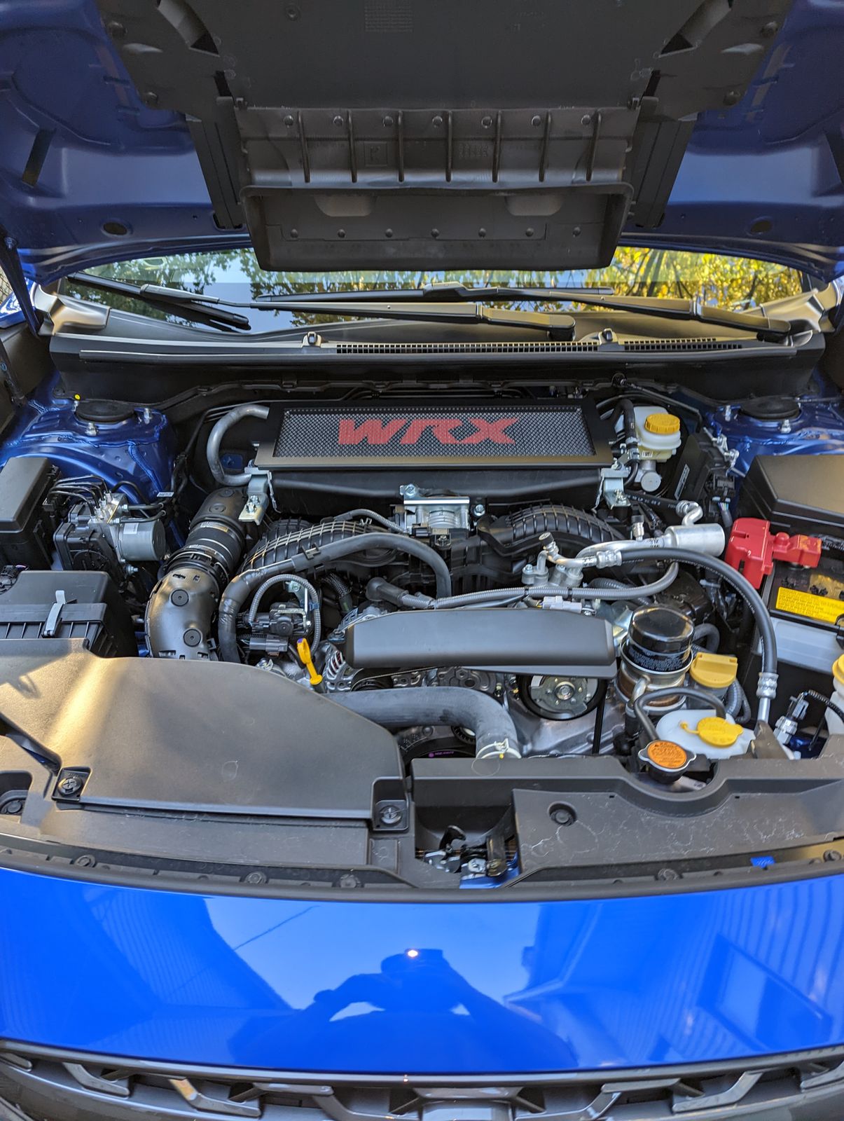 Noble STI Top Mount Intercooler Grille Protector / Guard 20082021