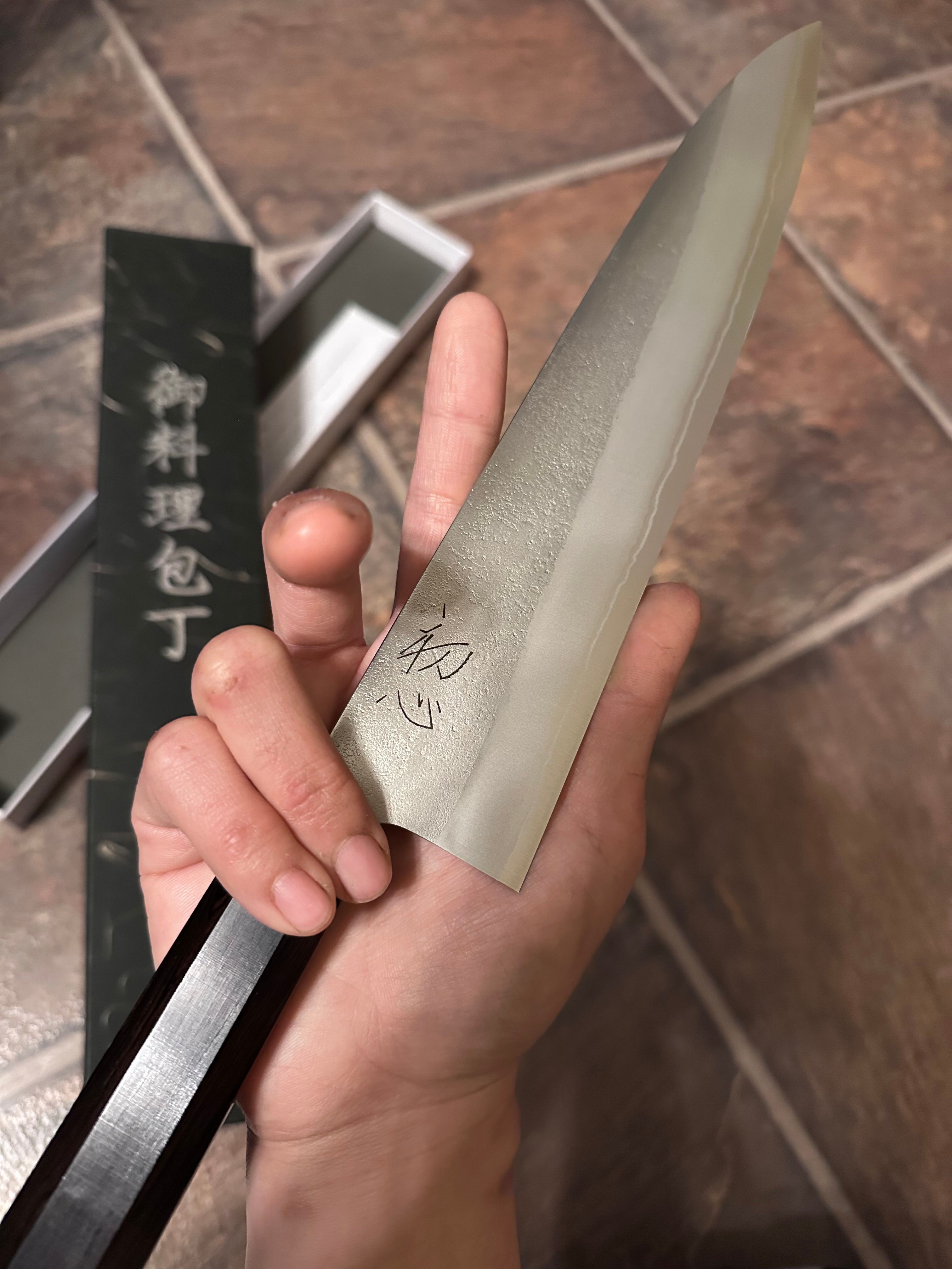 Yoshikane 210mm Gyuto Shirogami #2 Stainless Clad (8.25