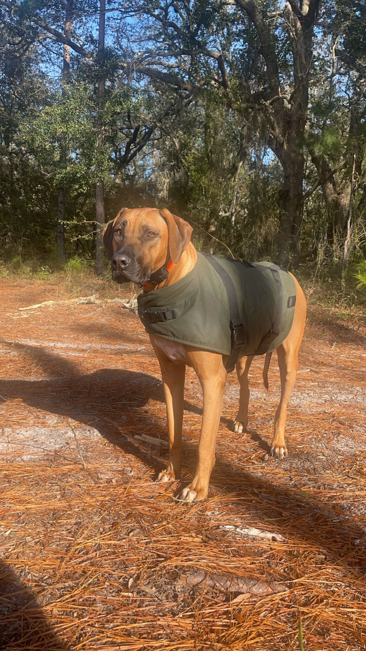 COTTON LINEN SULFIDED OZONE JACKET WITH 4POCKETS AND DOUBLE