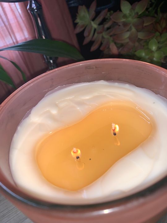 Guava Kiwi DW Home Scented Candles DW6200/DW6204/DW6208 DW Home Candles