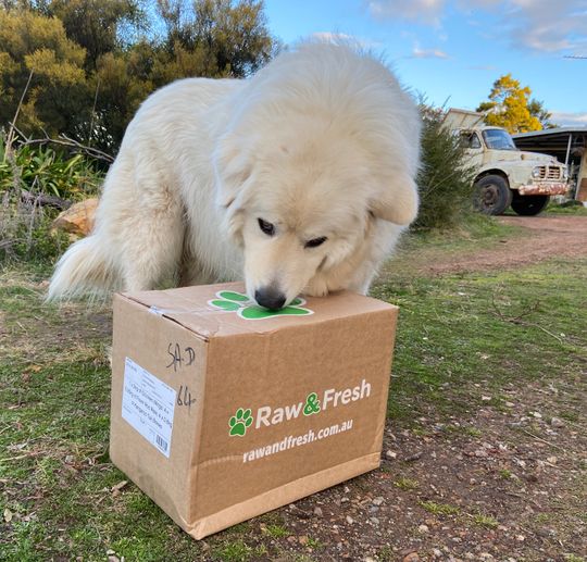 ReadyMade Bulk Raw Dog Food Multi Meat Bulk Pack