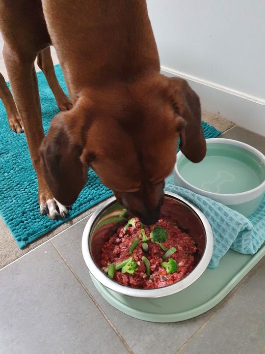 AAFCO Complete & Balanced Roo Raw Dog Food