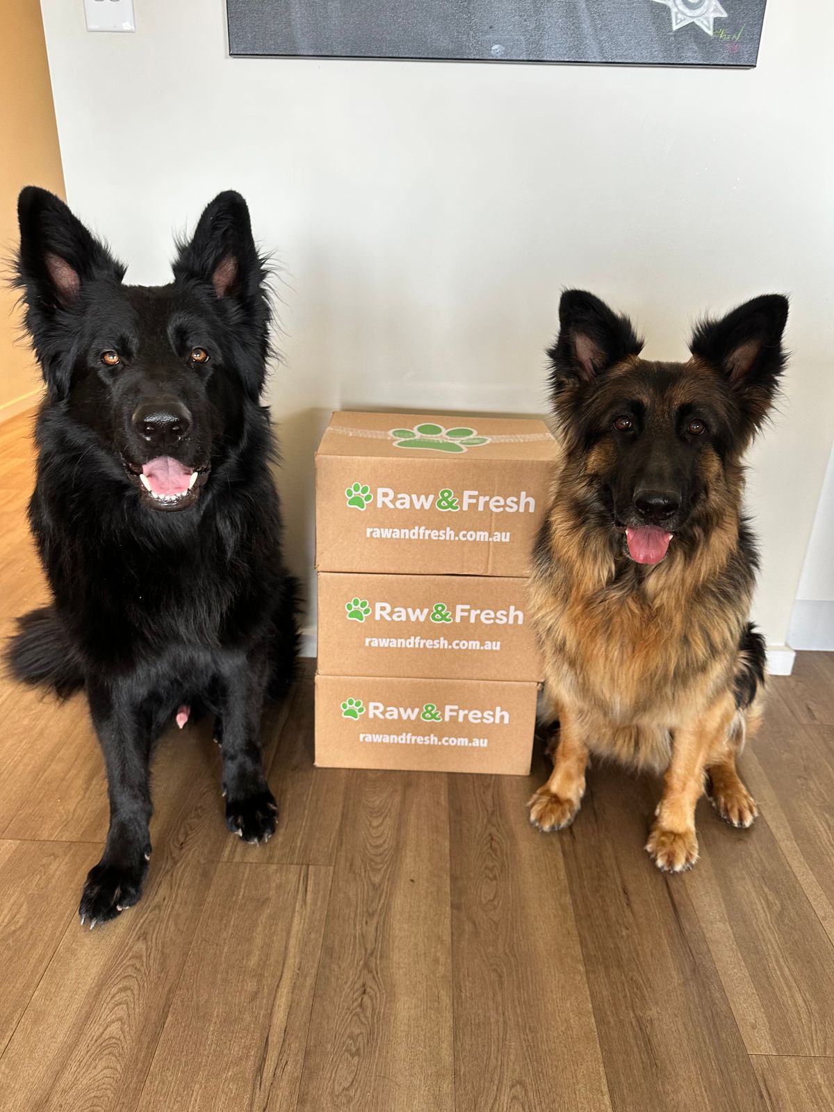 Raw Chicken For Dogs 2.5kg Bulk Pack Home Delivered Raw & Fresh