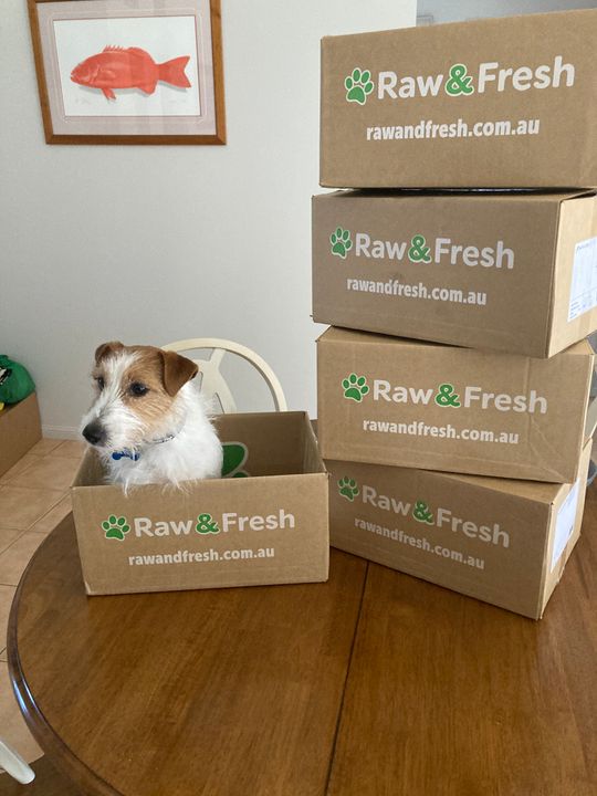 AAFCO Complete & Balanced Roo Raw Dog Food