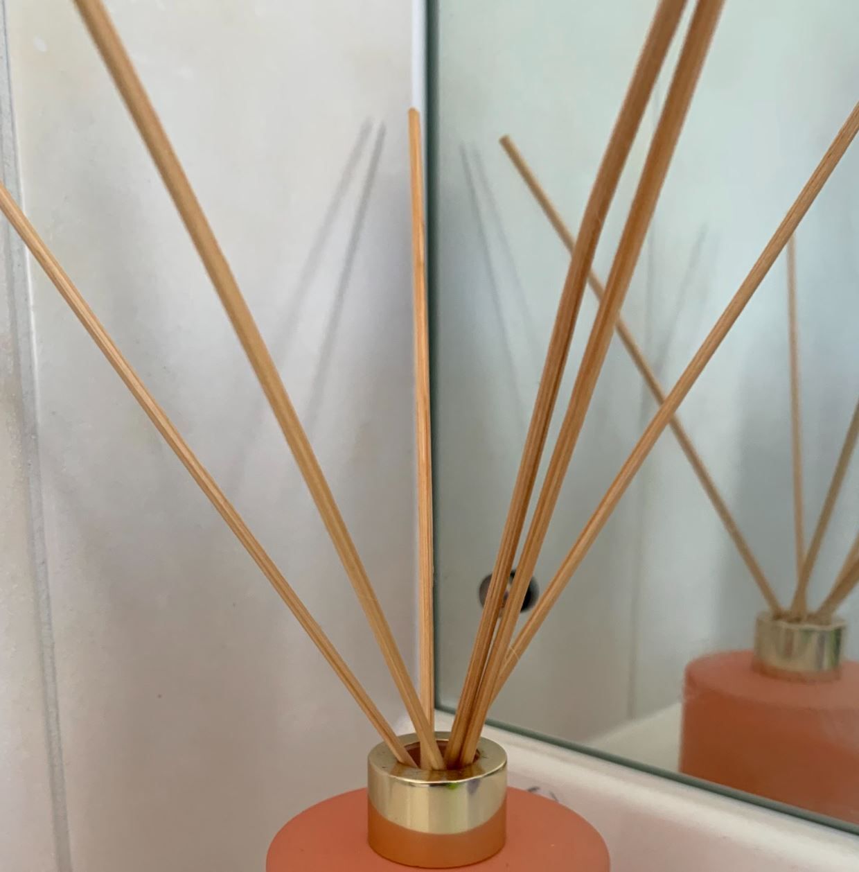 Diffuser Reeds (3mm x 250mm) Natural 10pc PureNature NZ