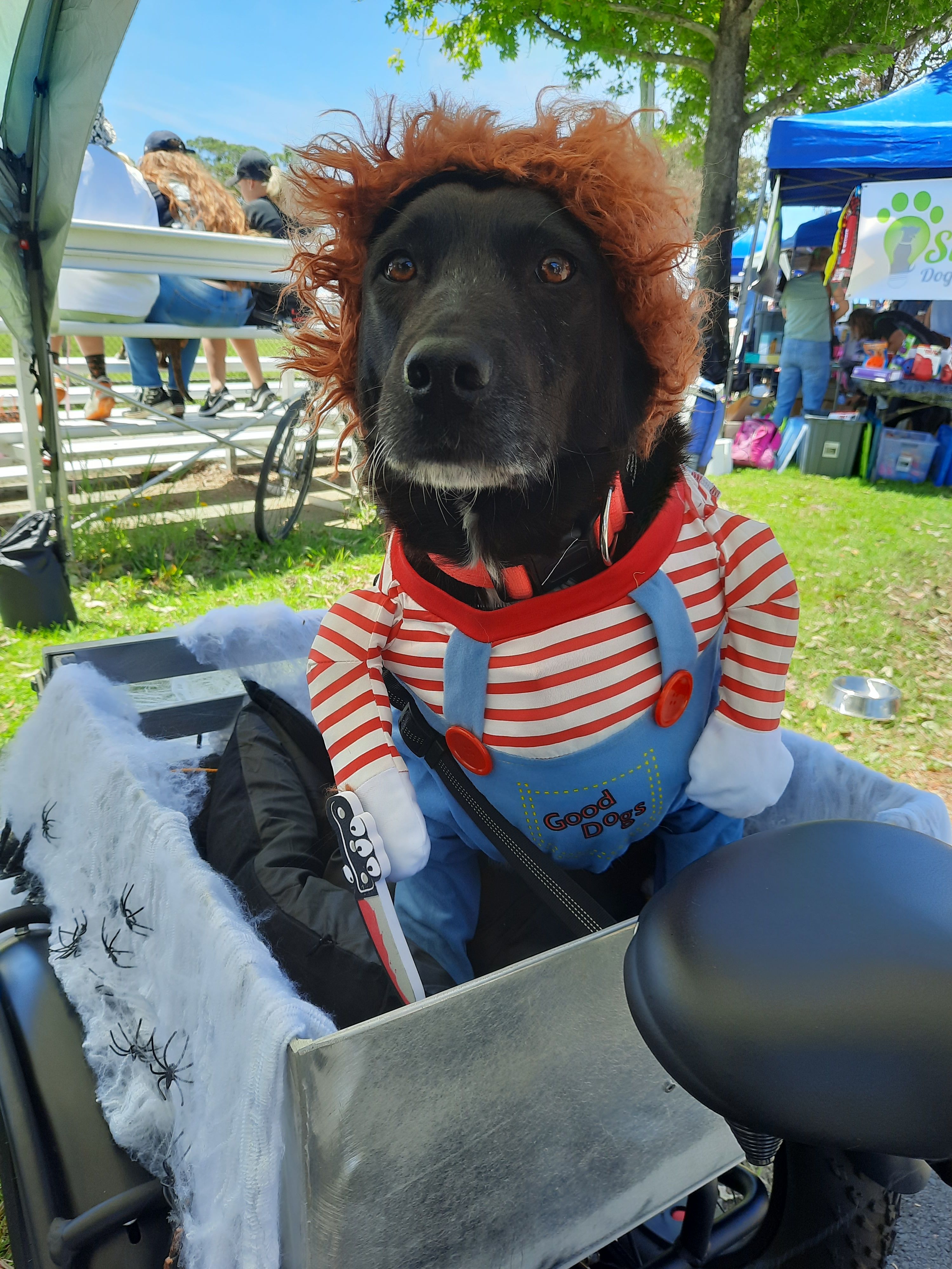 Chucky Dog Costume DoggyTopia DoggyTopia