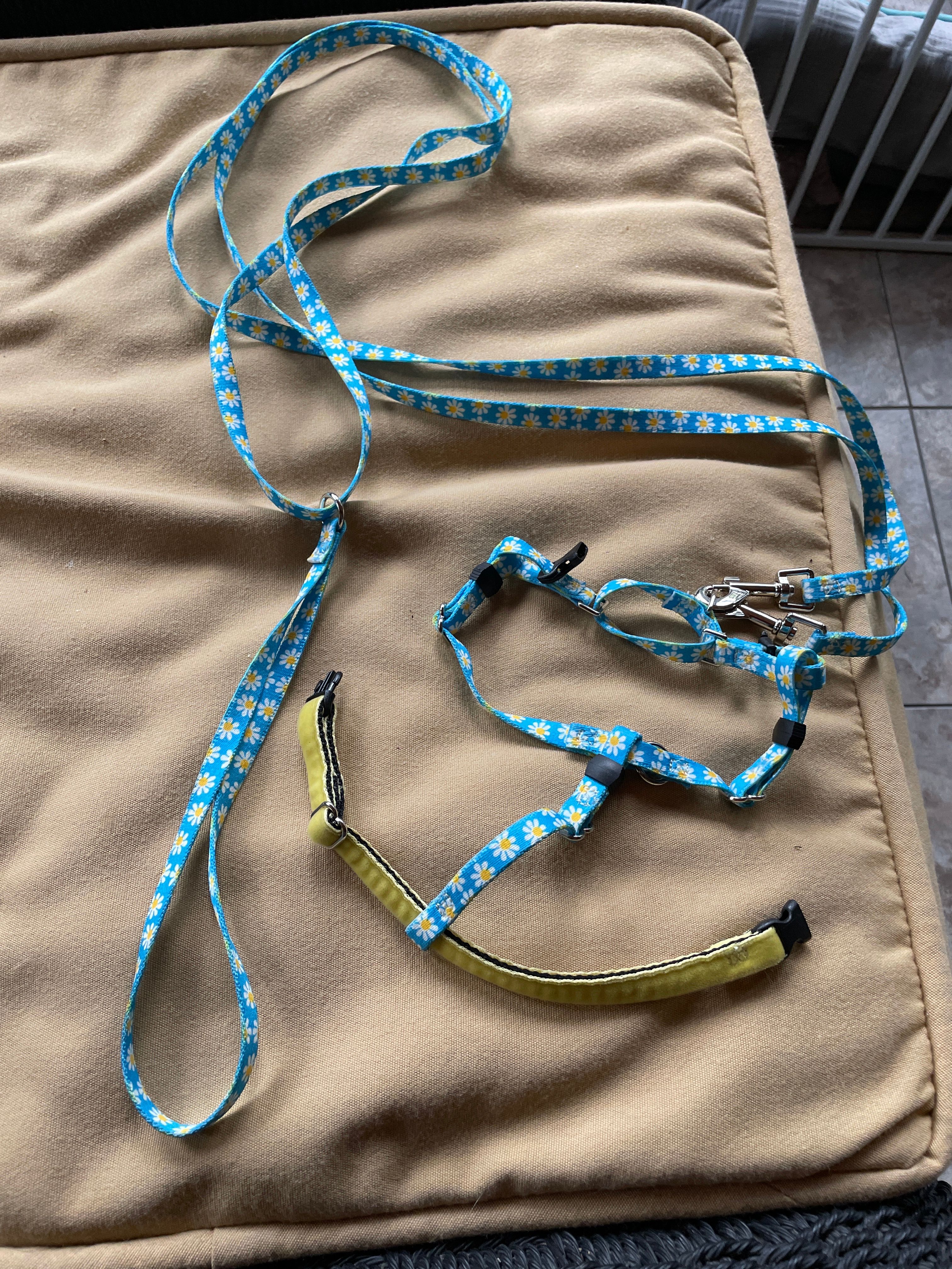 XXSmall Blue Daisy Freedom No-Pull Harness 13