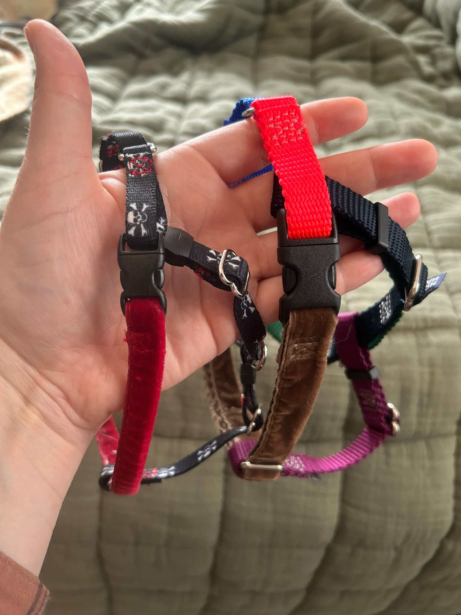 RLMW Rascal Waist Harness 揺さぶっ & NUTS MINI ×2