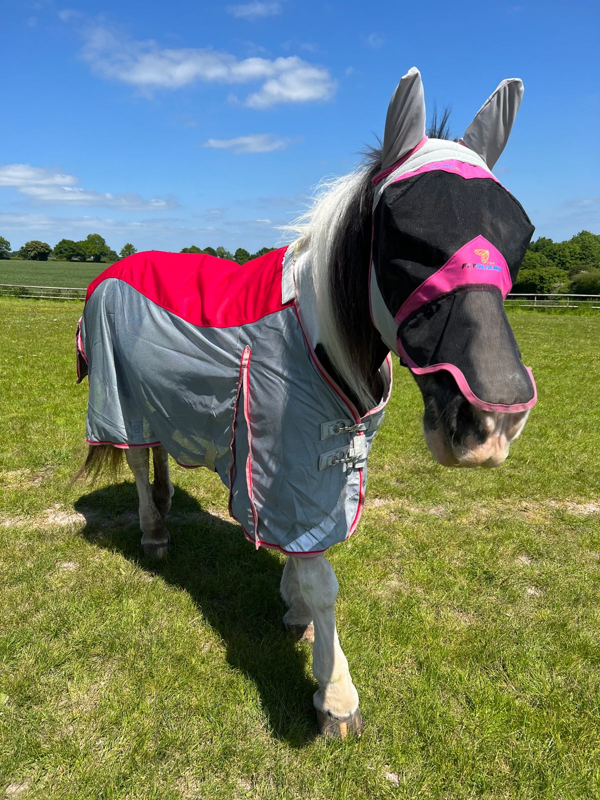 WIDE FIT Fly Turnout Combination Rug Red (Mesh) Swish Equestrian