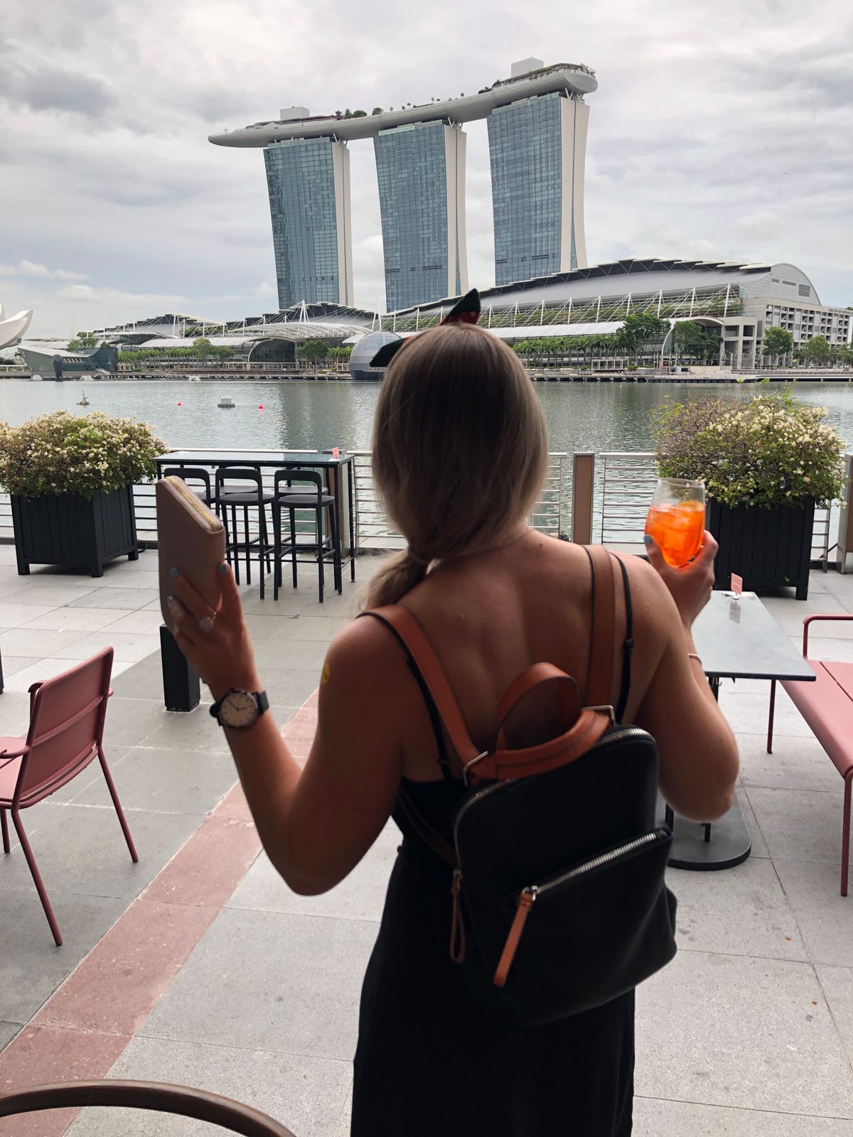 the horse backpack black