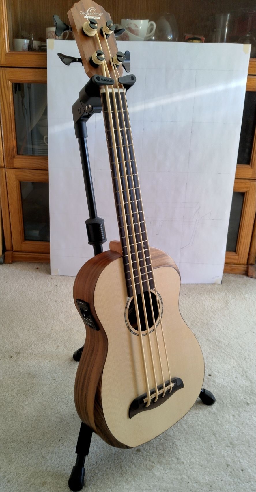 Aquila アコースティックベース Amazon.co.jp: lotmusic エレクトリックアコースティックベース