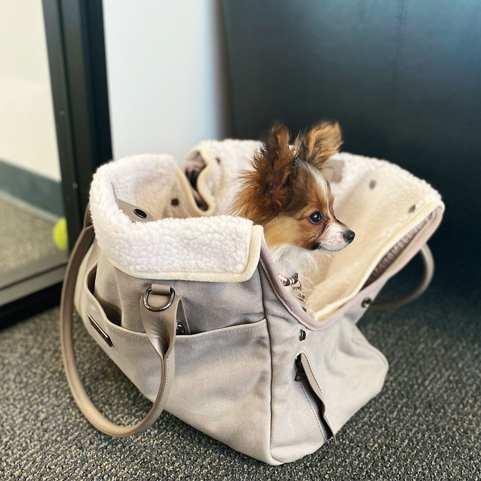 Dog Tote Carrier Bag in BestSelling Grey maxbone maxbone