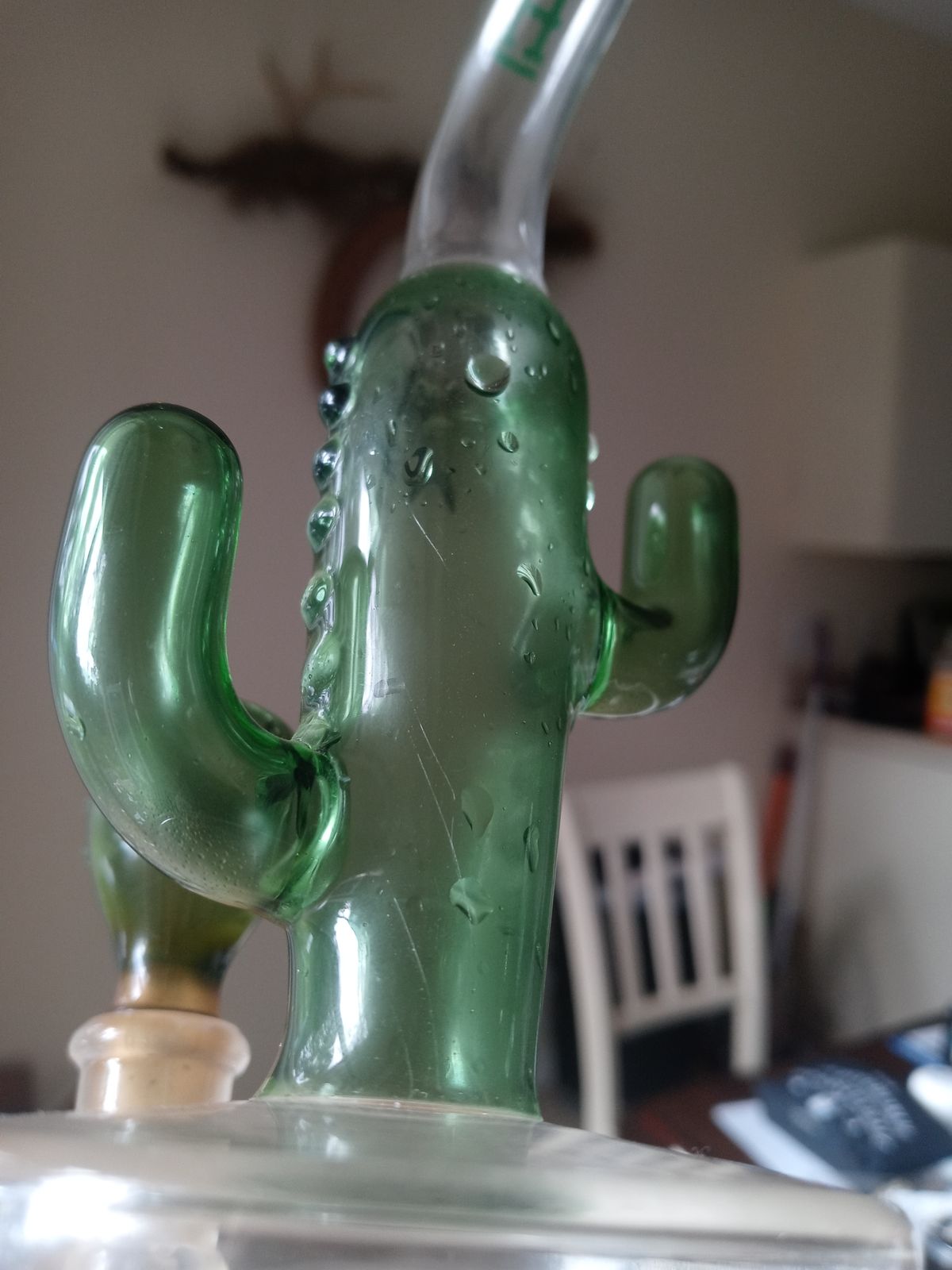 smokepurpp cactus jack