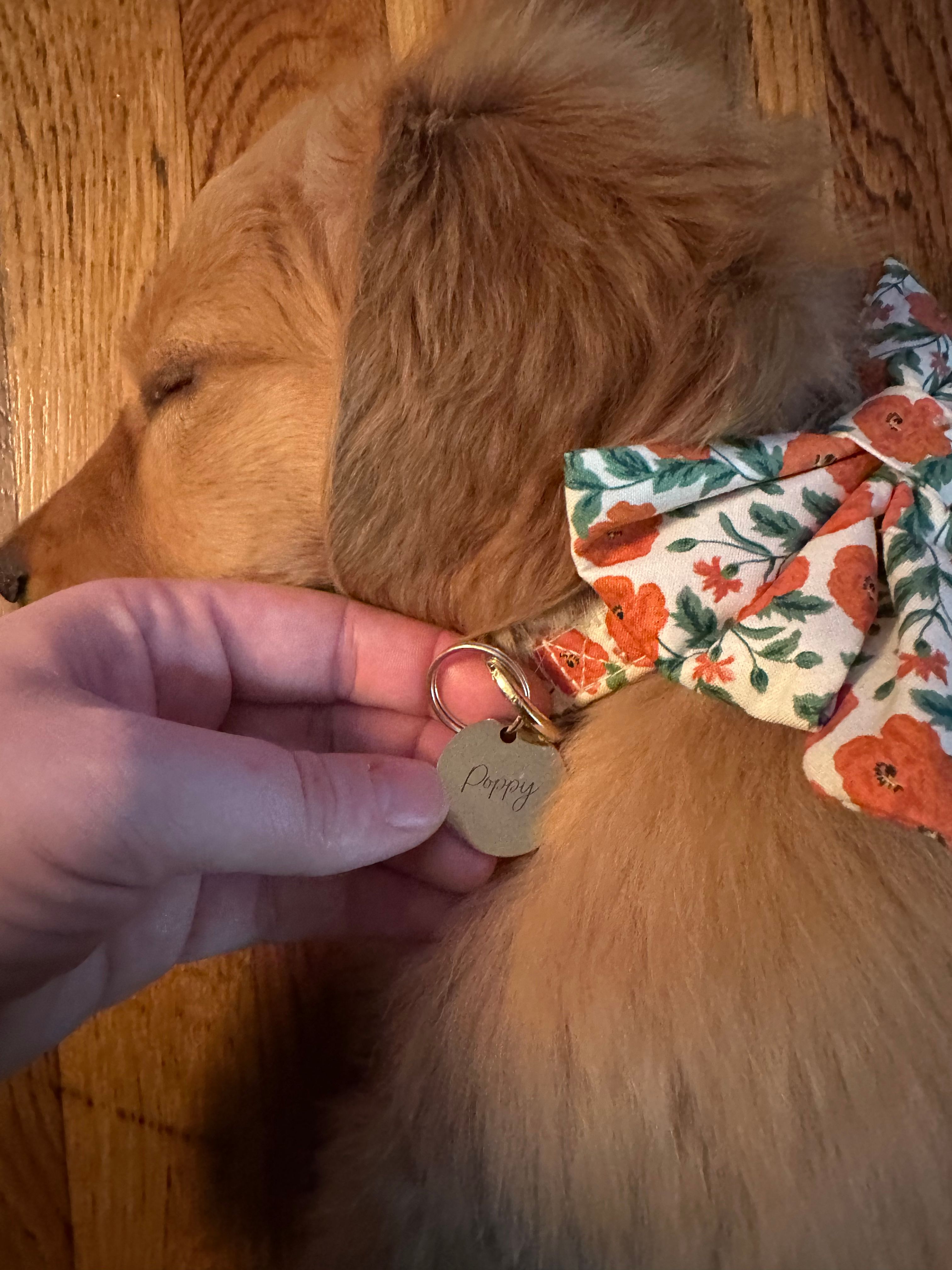 poppy tag for dog collar