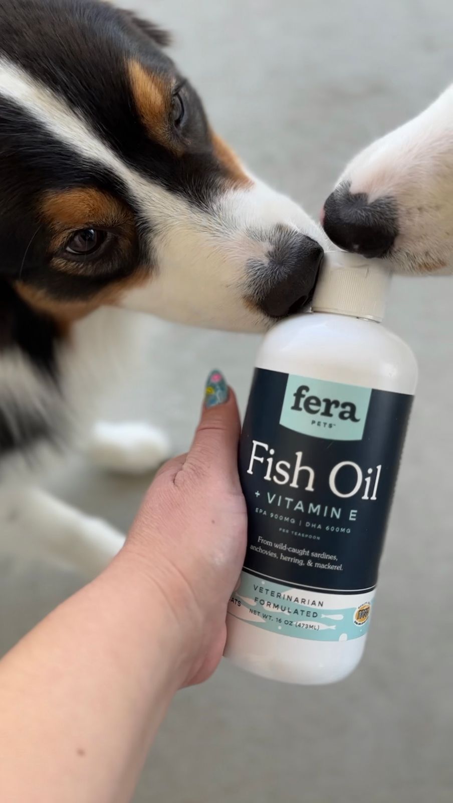 Fish Oil And Vitamin E Deficiency In Dogs
