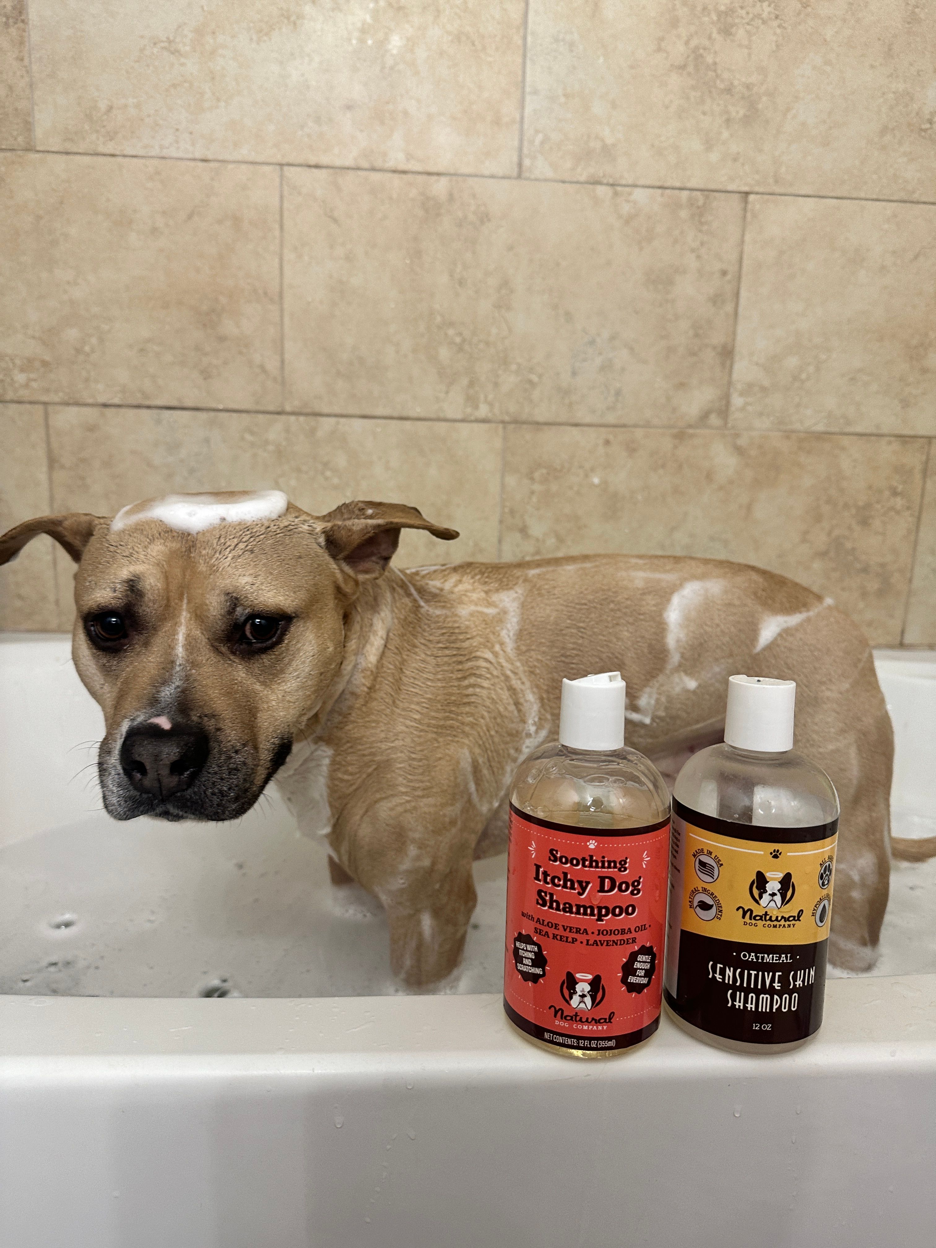 Colloidal Oatmeal Bath For Dogs Oatmeal Dog Shampoo For Sensitive