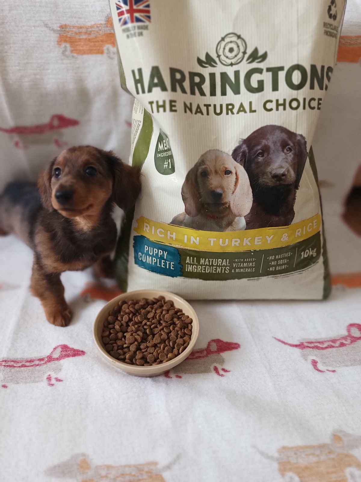 15kg harringtons