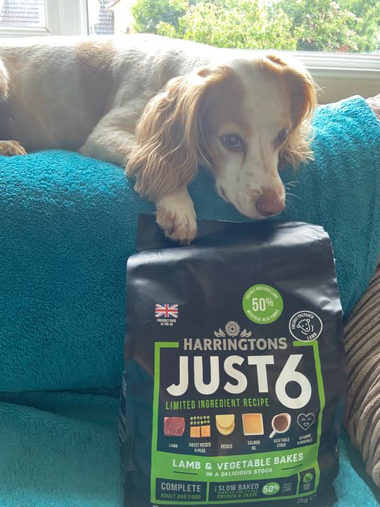 Lamb & Vegetable Dry Dog Food Just 6 by Harringtons