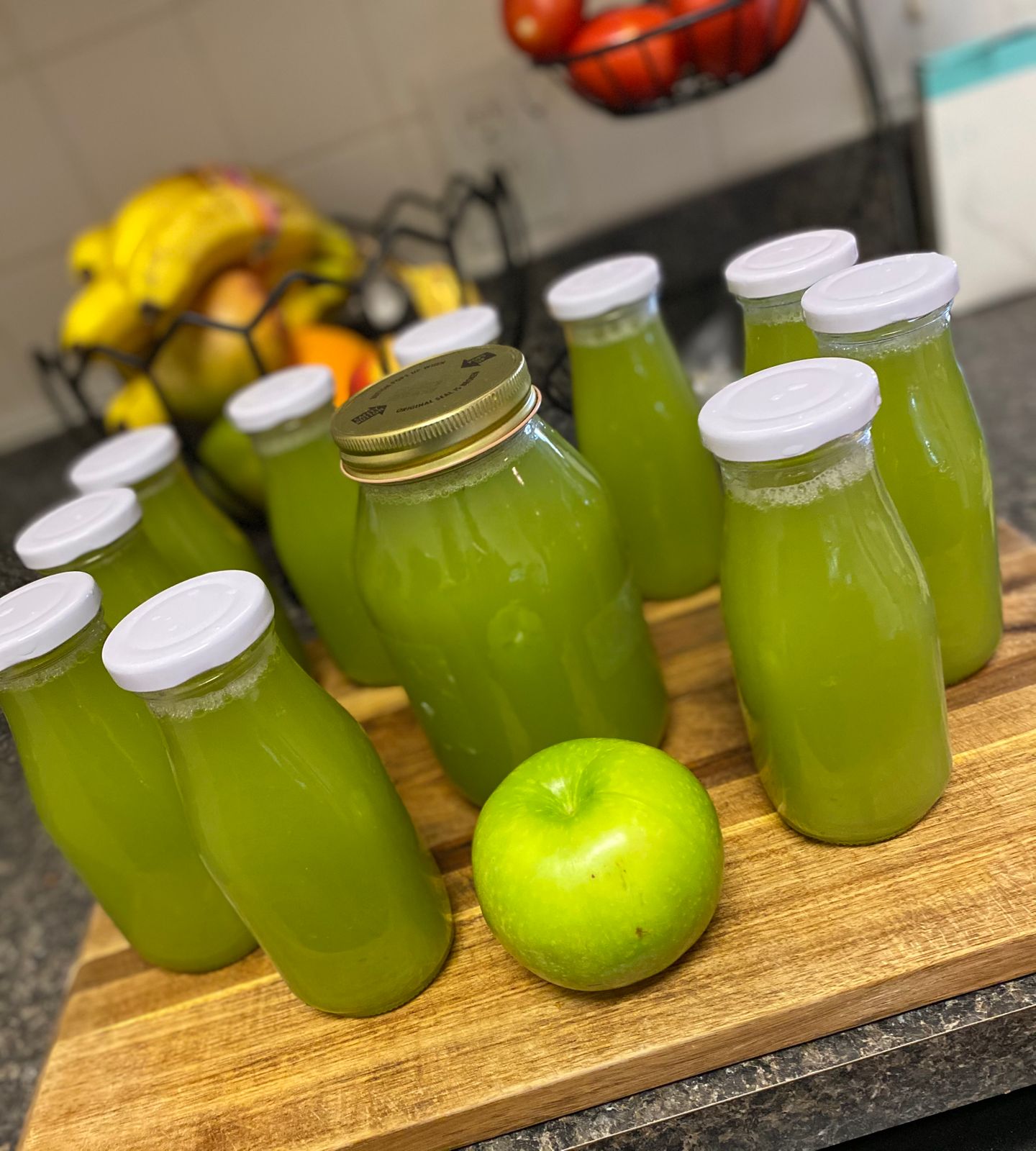 Gerson Therapy Juicer PURE Juicer