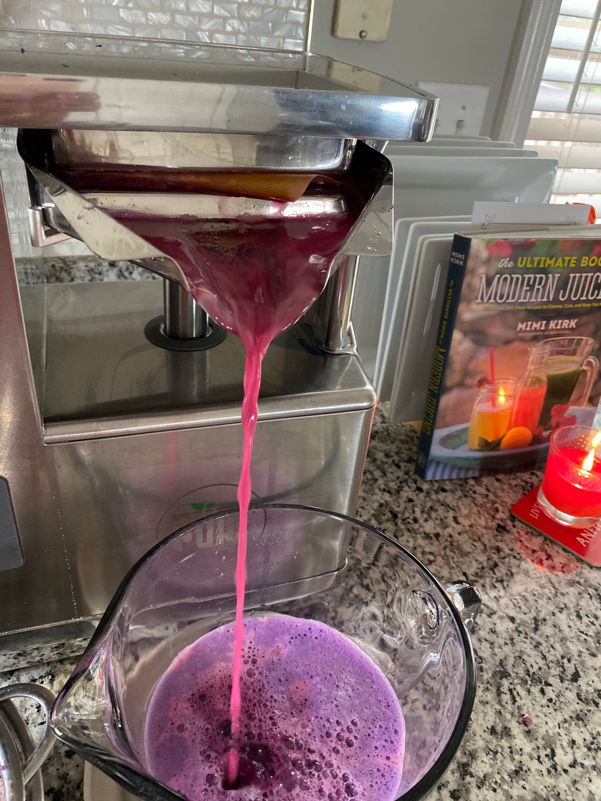 Gerson Therapy Juicer PURE Juicer