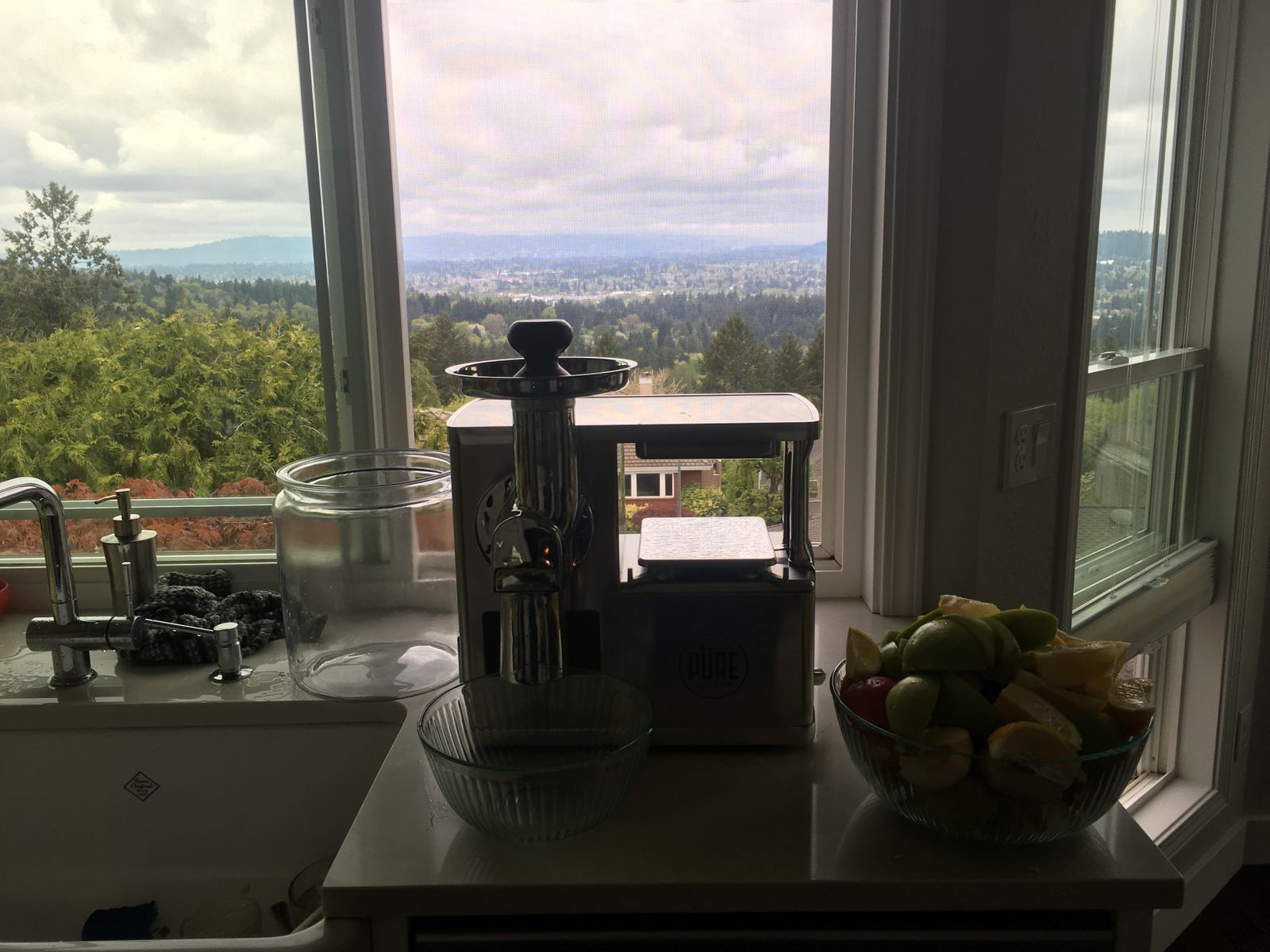 Gerson Therapy Juicer PURE Juicer