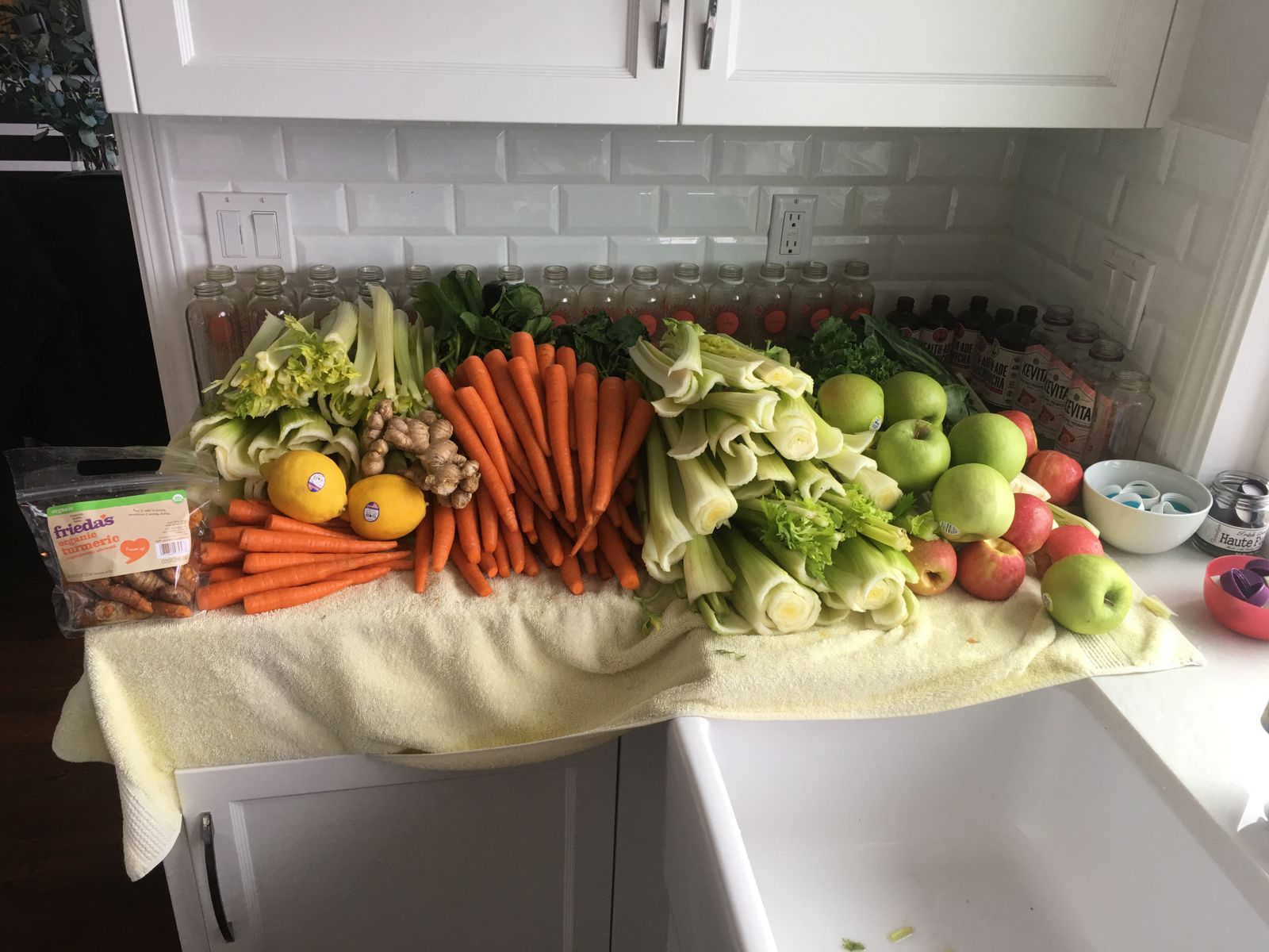 Gerson Therapy Juicer PURE Juicer