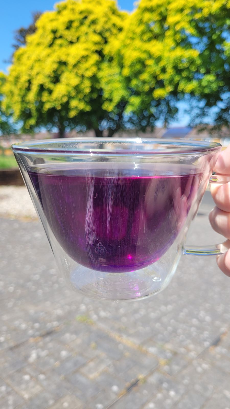 Blue Raspberry Tea Bird & Blend Tea Co.