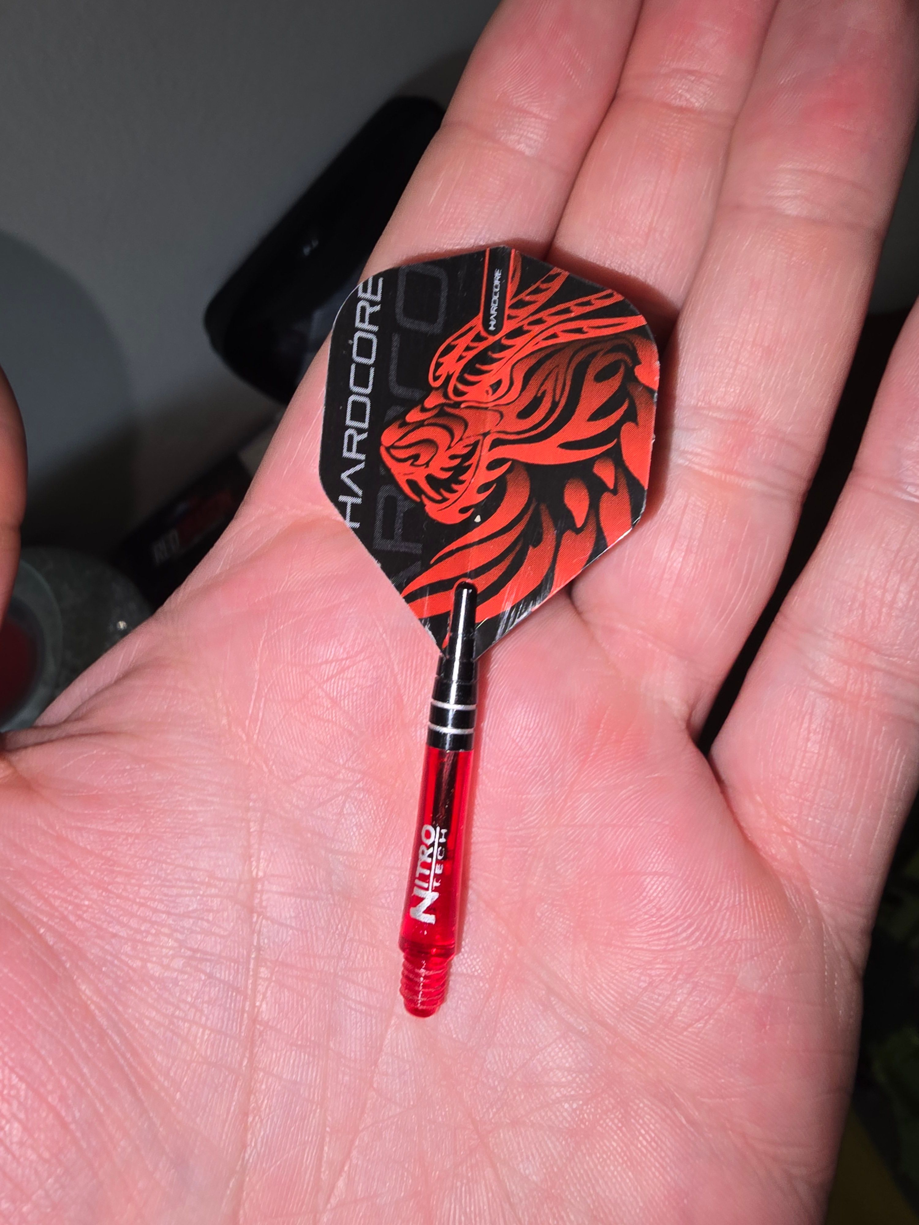 FAB Dragonscaler Flight Path HNT CF英語版 Amazon.com : Discraft Zone GT Putter Golf Disc 2-Disc Test