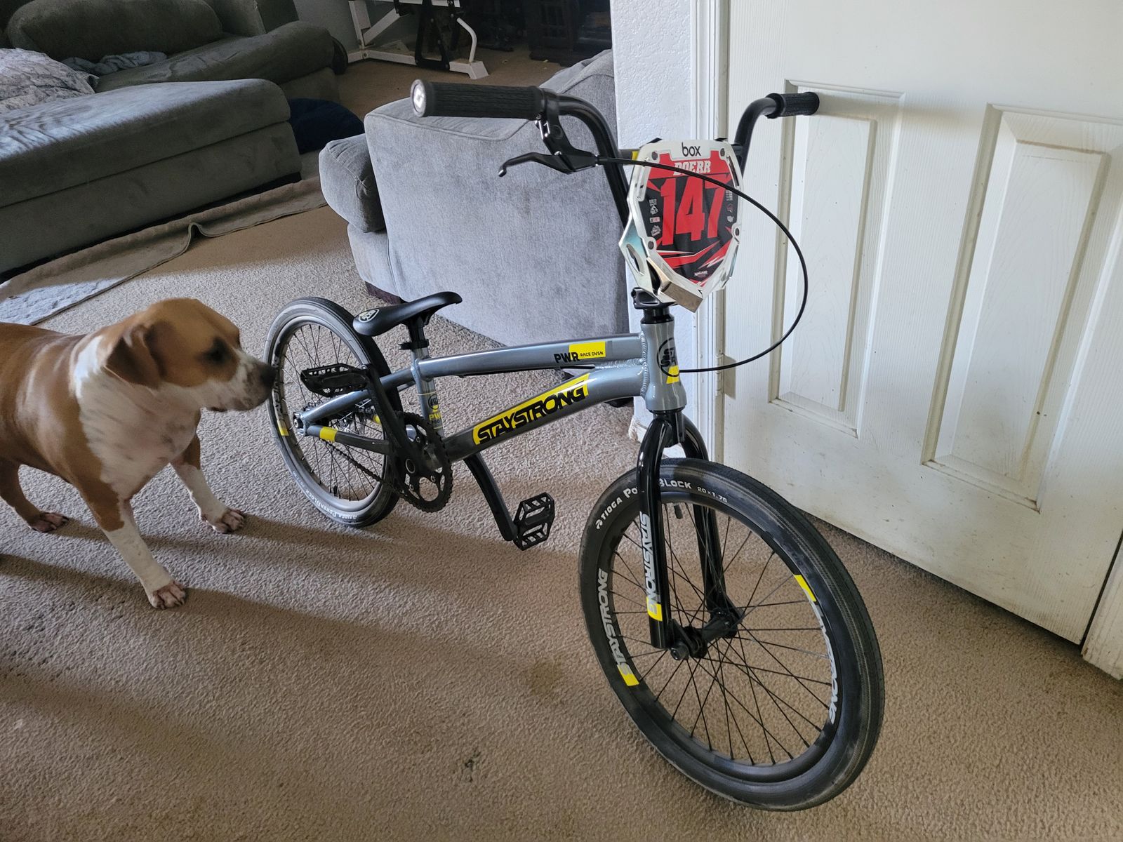 Gt Pro Gt Bmx BMX GT シルバー メッキ 24インチ BMX GT シルバー