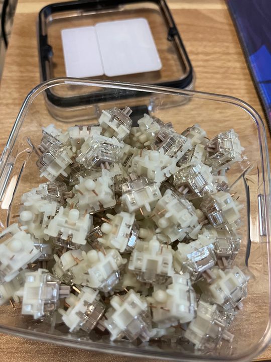 Gateron Baby Raccoon Switches – NuPhy