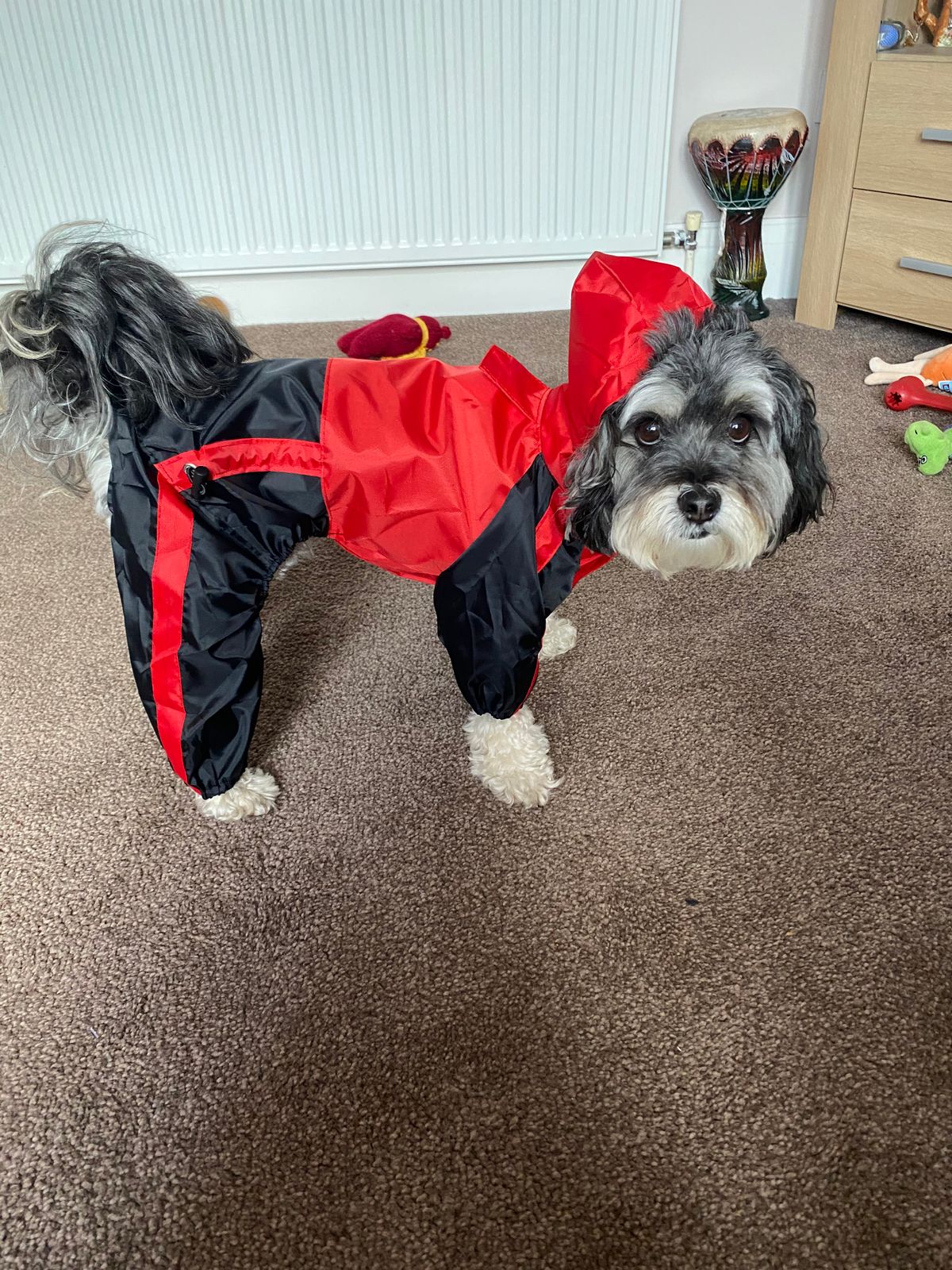 waterproof-trouser-suit-dog-rain-coat-in-red-black
