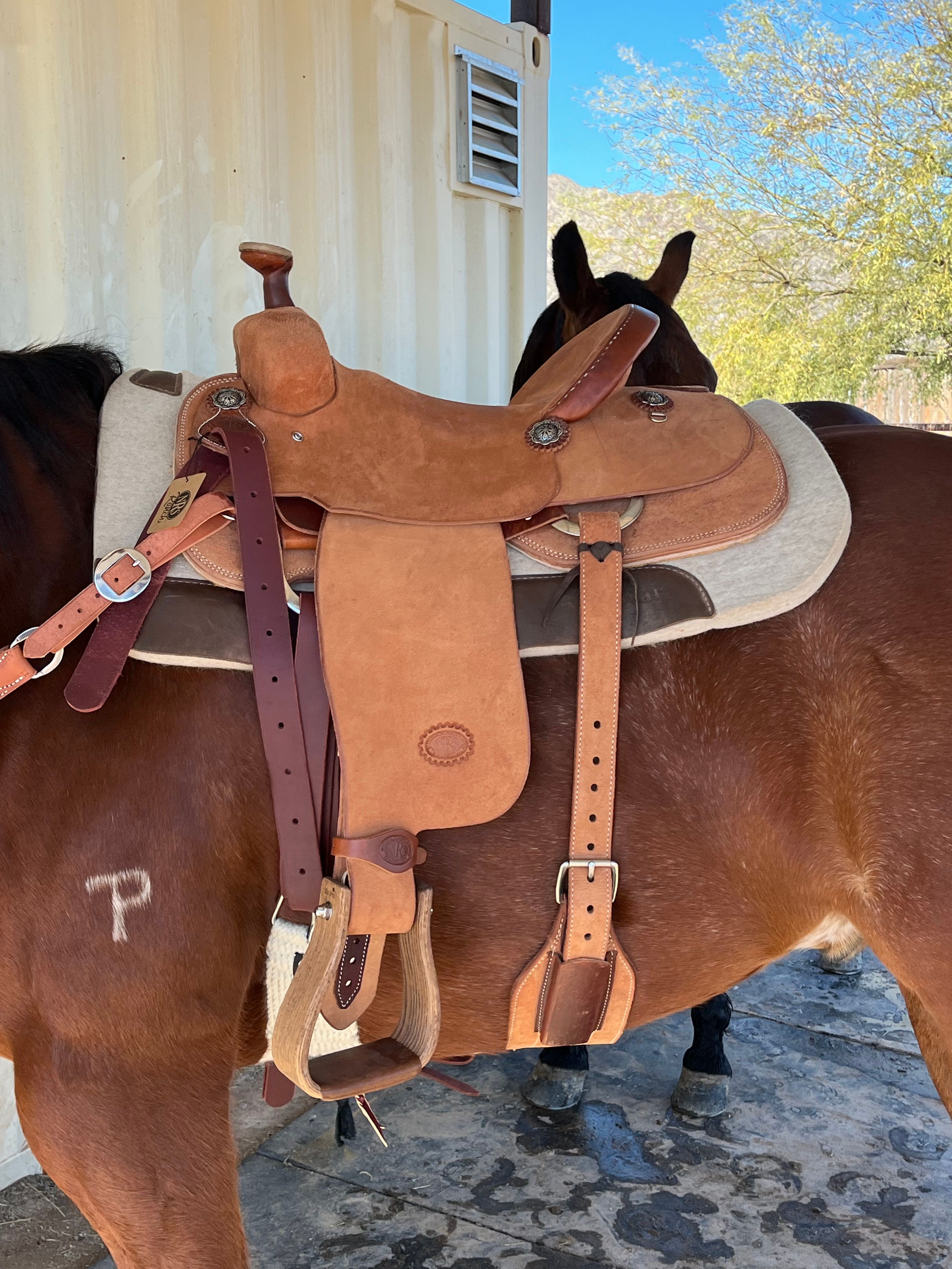16" Showman® Roper Saddle With Rawhide Covered Stirrups - Www