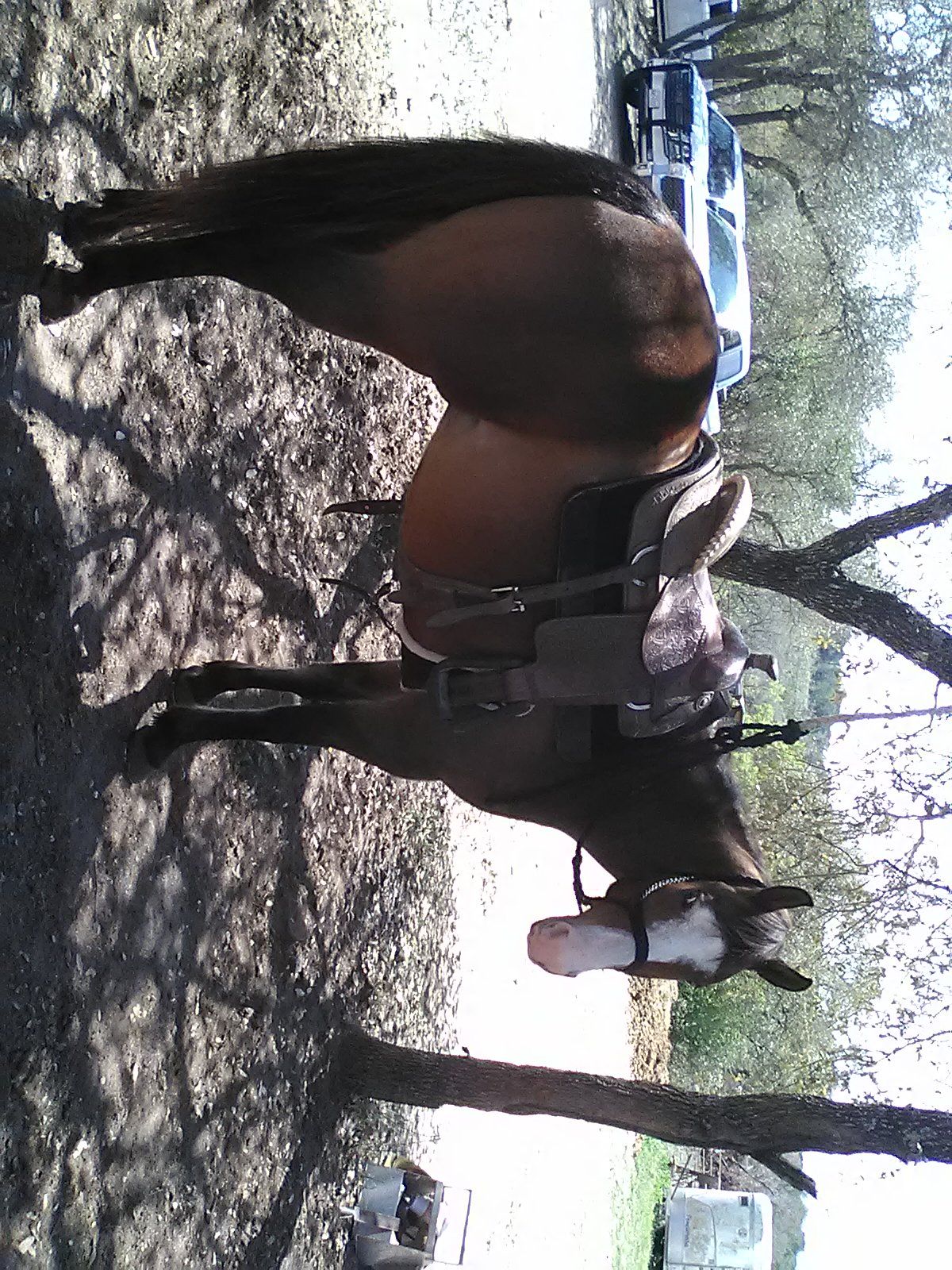 Sensores Flexibles Para Analizador MFC-FLEX-80