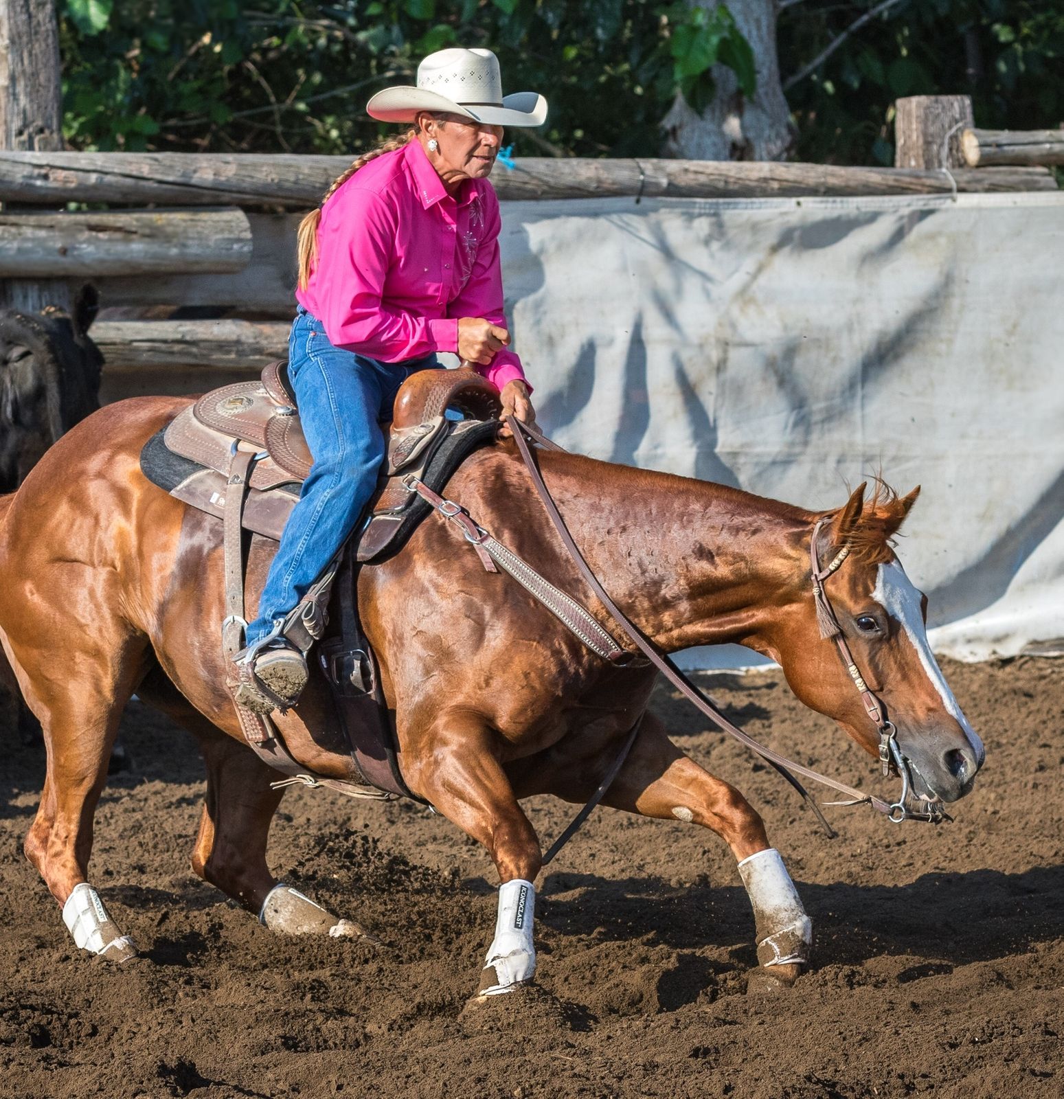 Iconoclast Hind Boots for Horses Purchase Iconoclast Orthopedic Horse