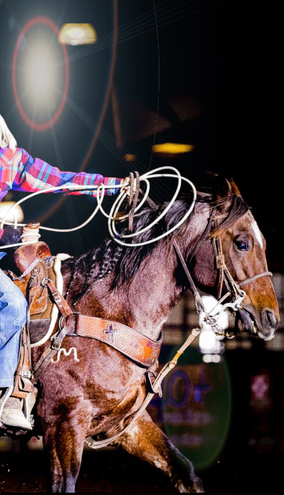 Horse Craft Red Dally Wrap